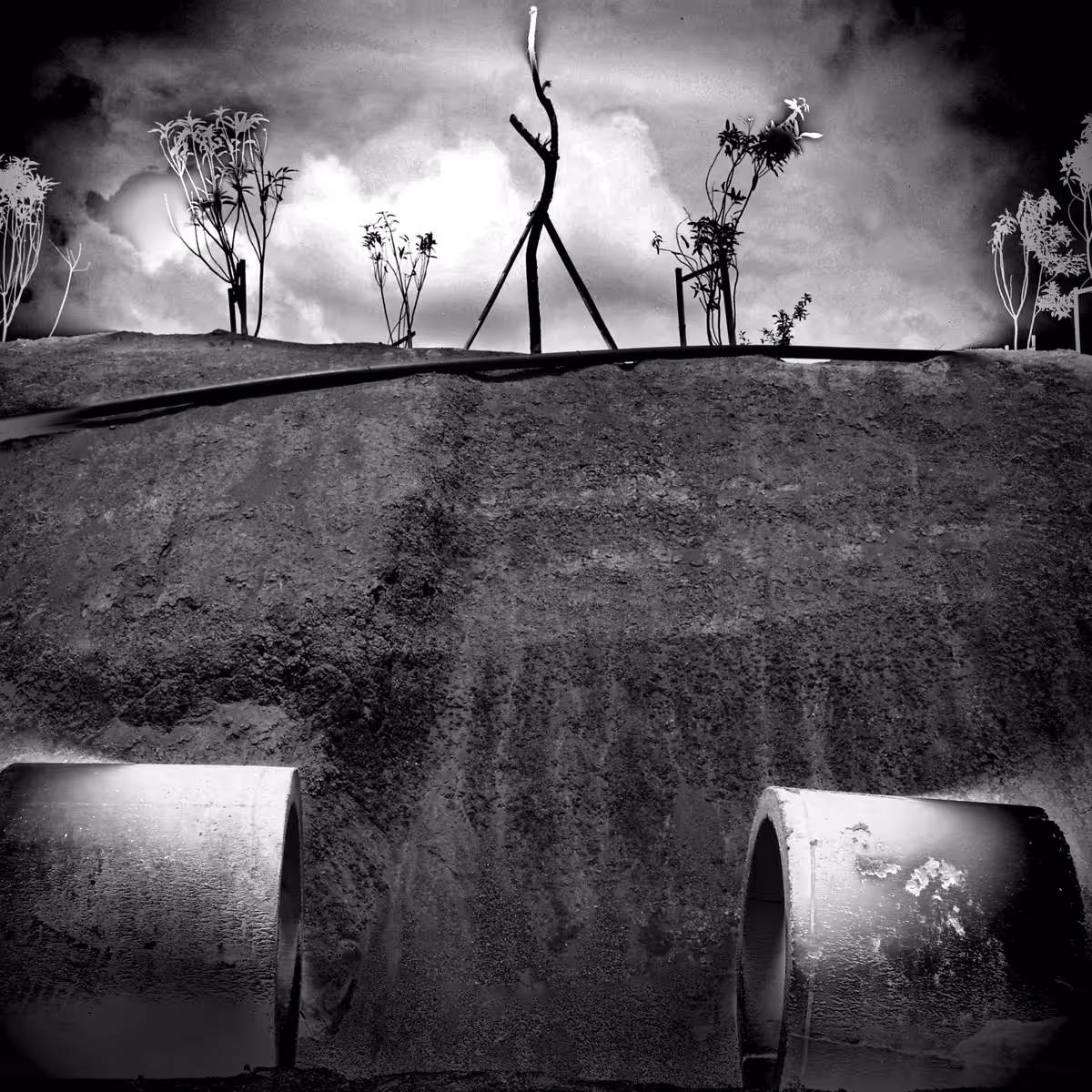 WATER SOIL #1