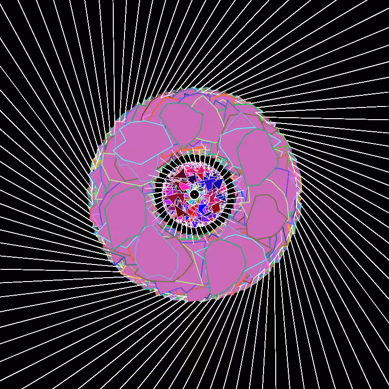 Transcendental Roses #5