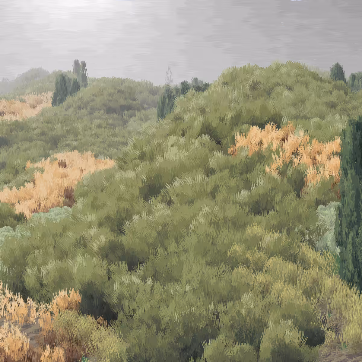 Provence #136