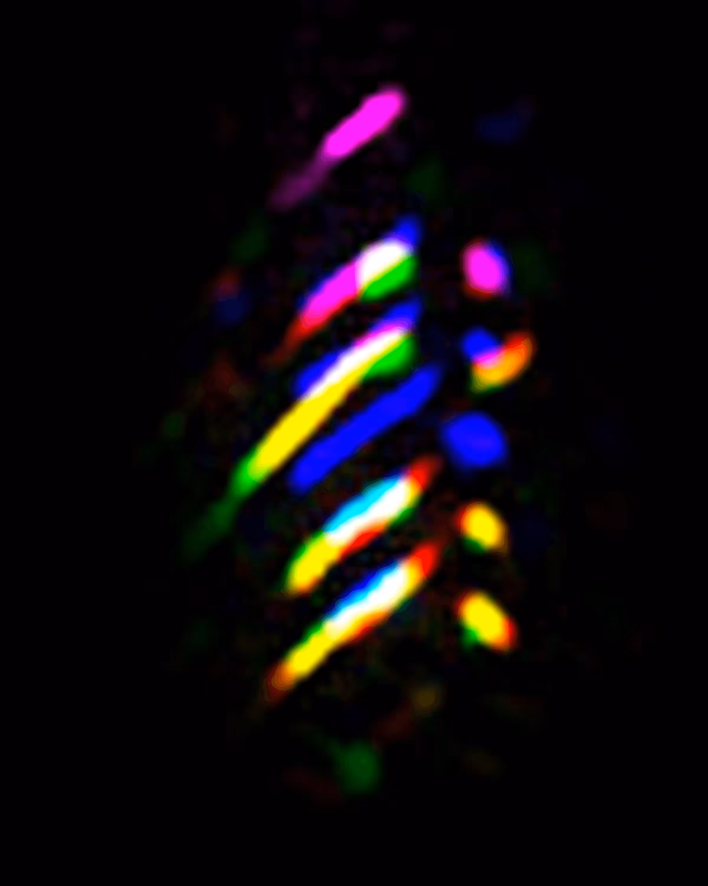 Fingerprint #52