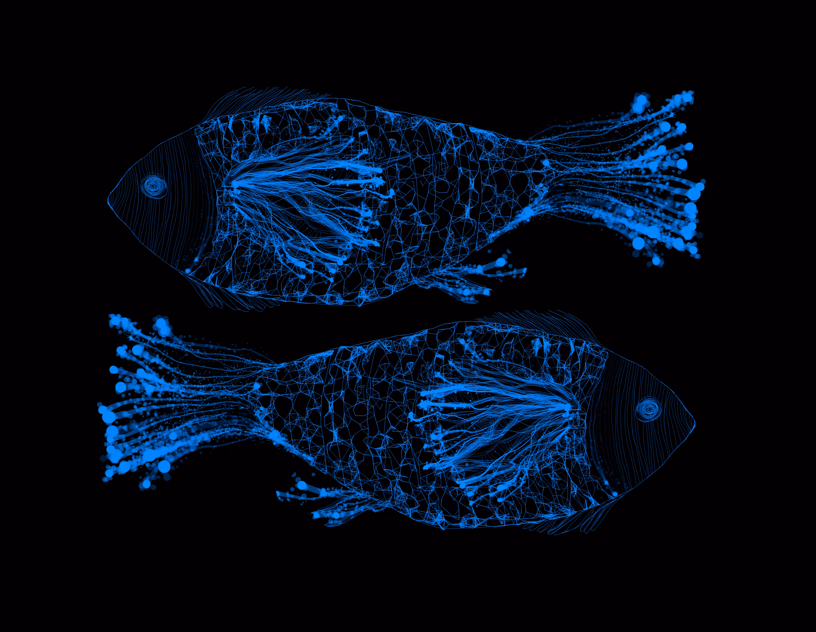 PISCES