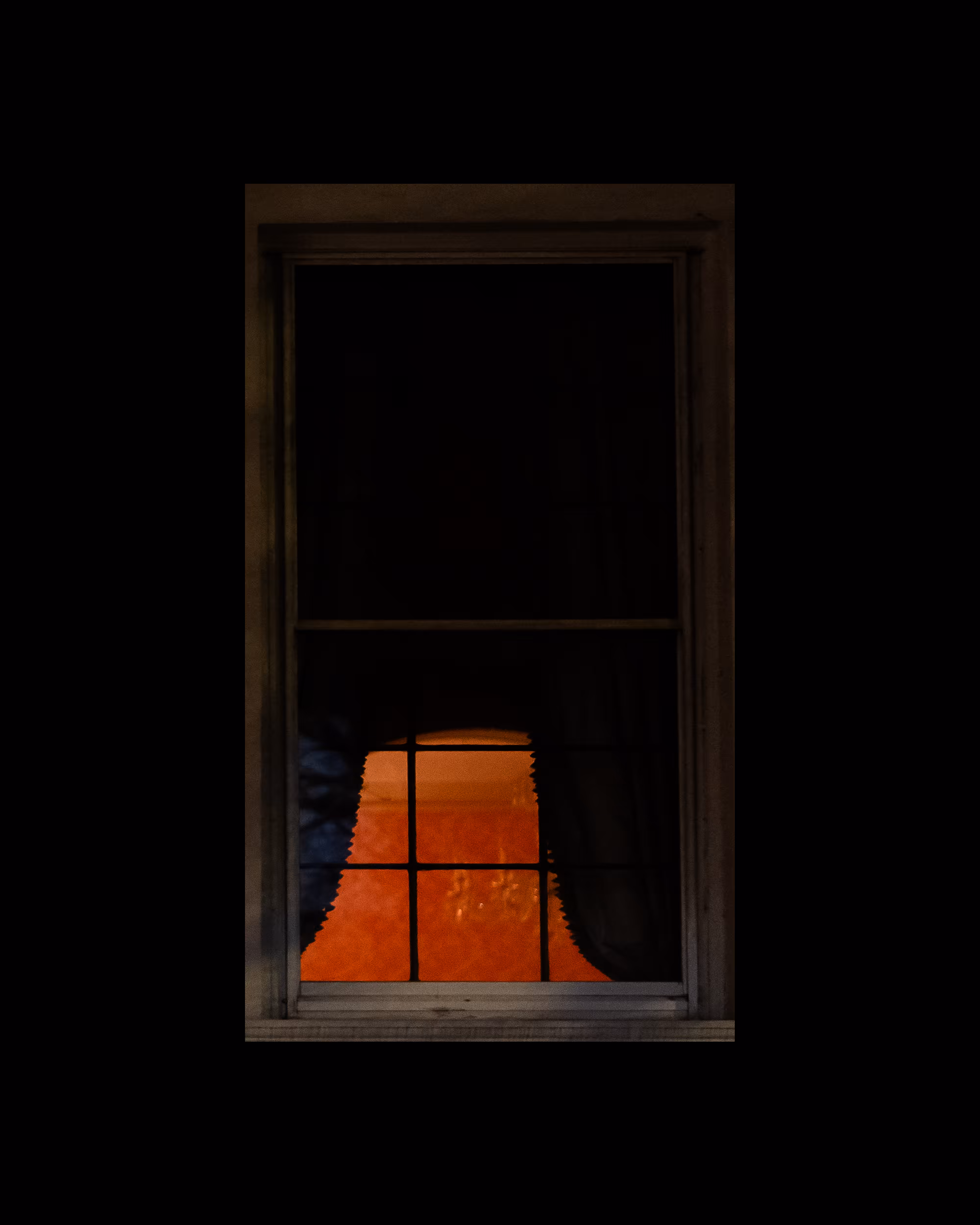 WINDOWS // NYC: WINDOW 248