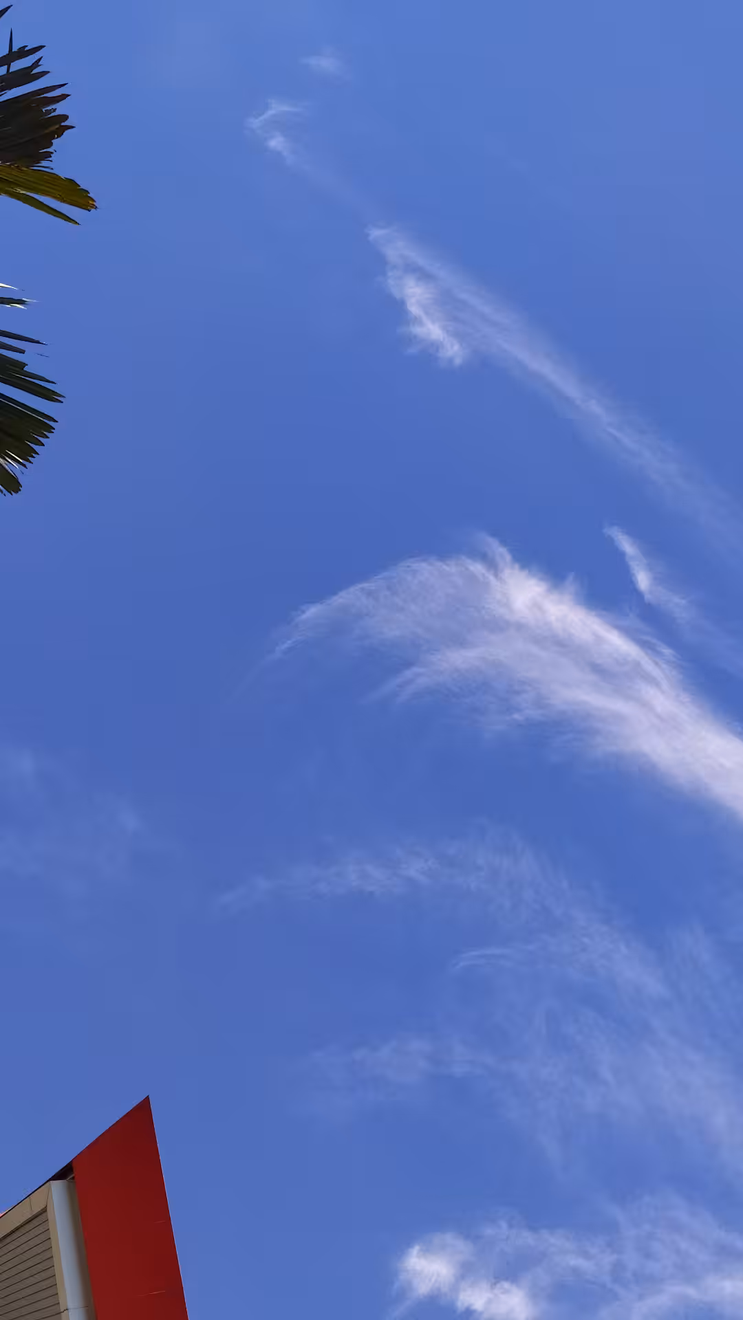 Blue Screen #10