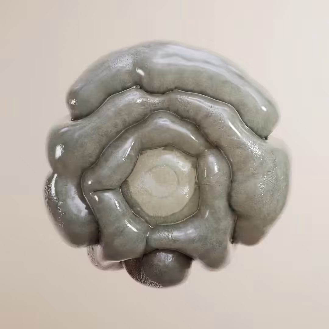 Digestion 1
