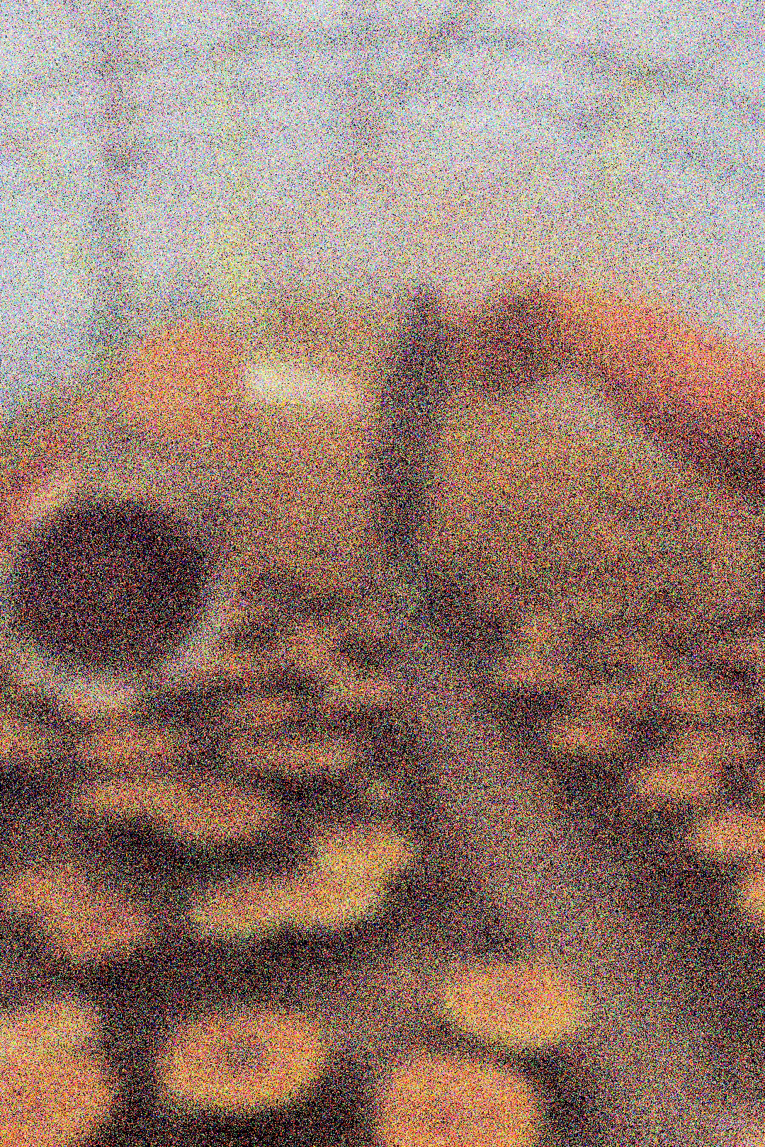 MUSHROOMS
