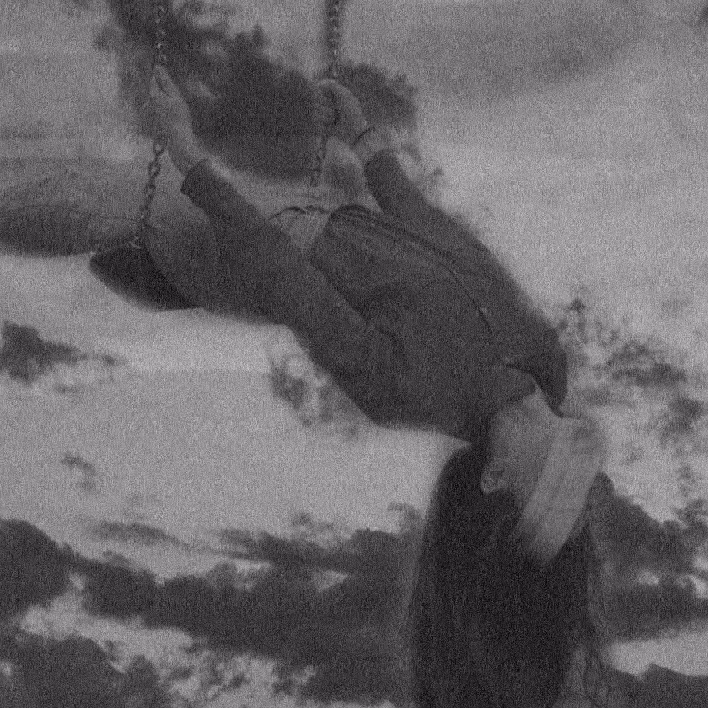 the wind