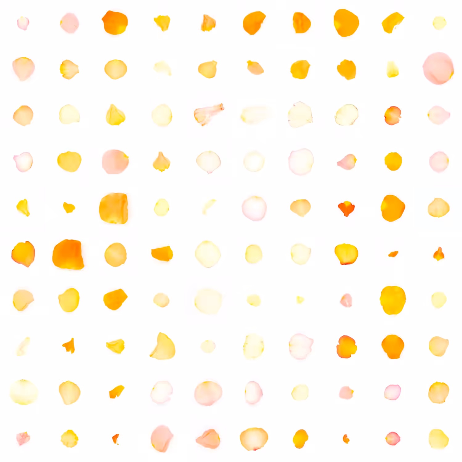 Infinite Petals 10x10#20007