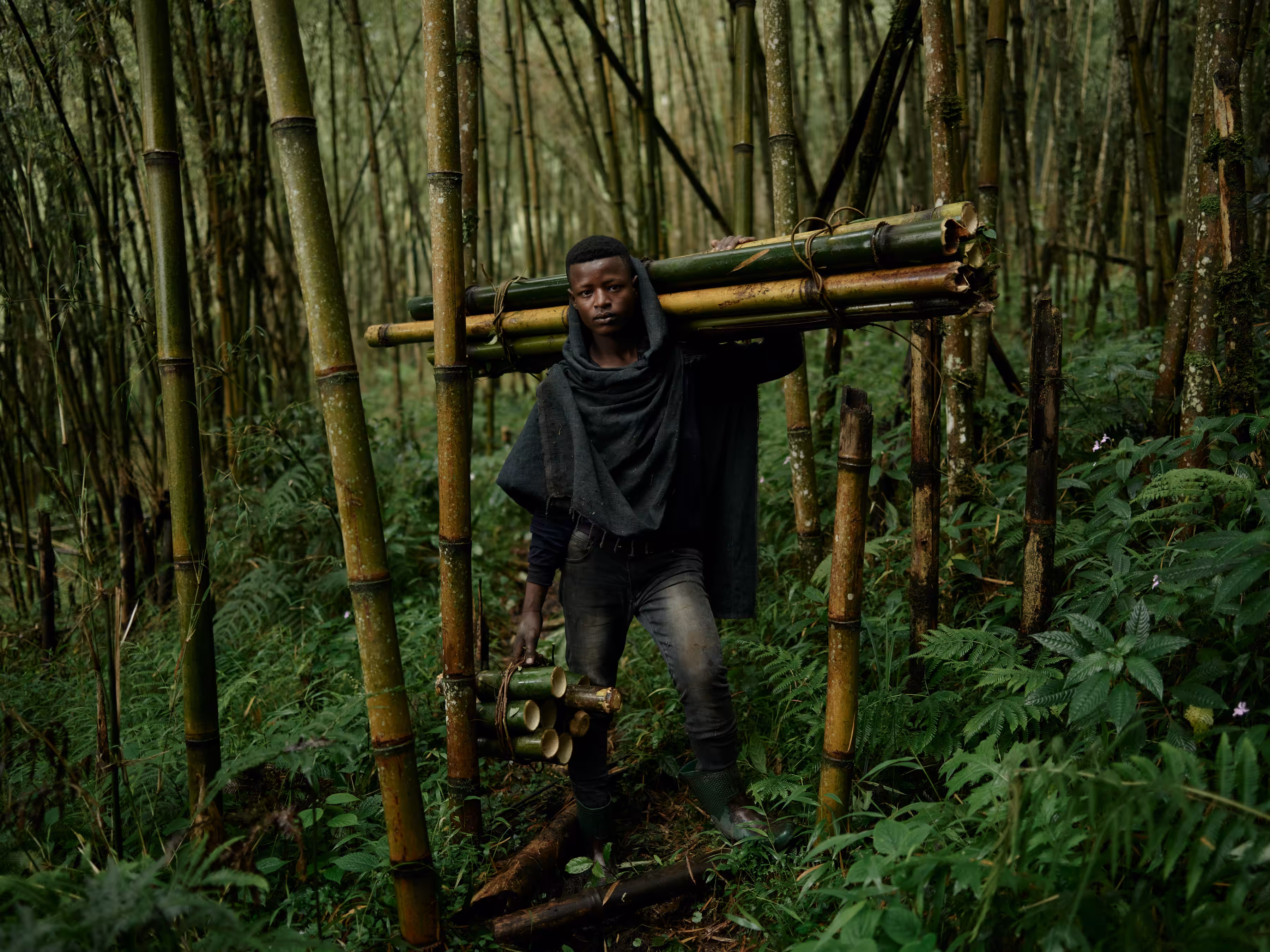 Ethiopia - Addisu with Bamboo from the Forest Floor