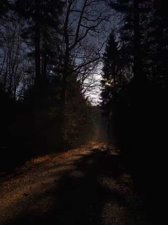 #cicatriciebaci_TheDruid_CROSS IT_(Distance Series)