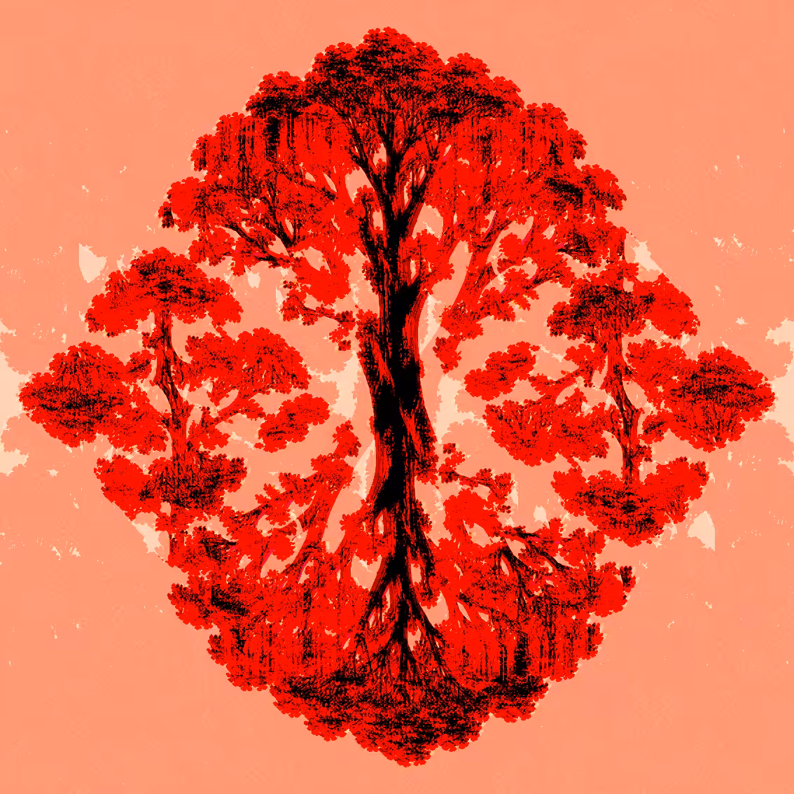 The Heartwood Awakens
