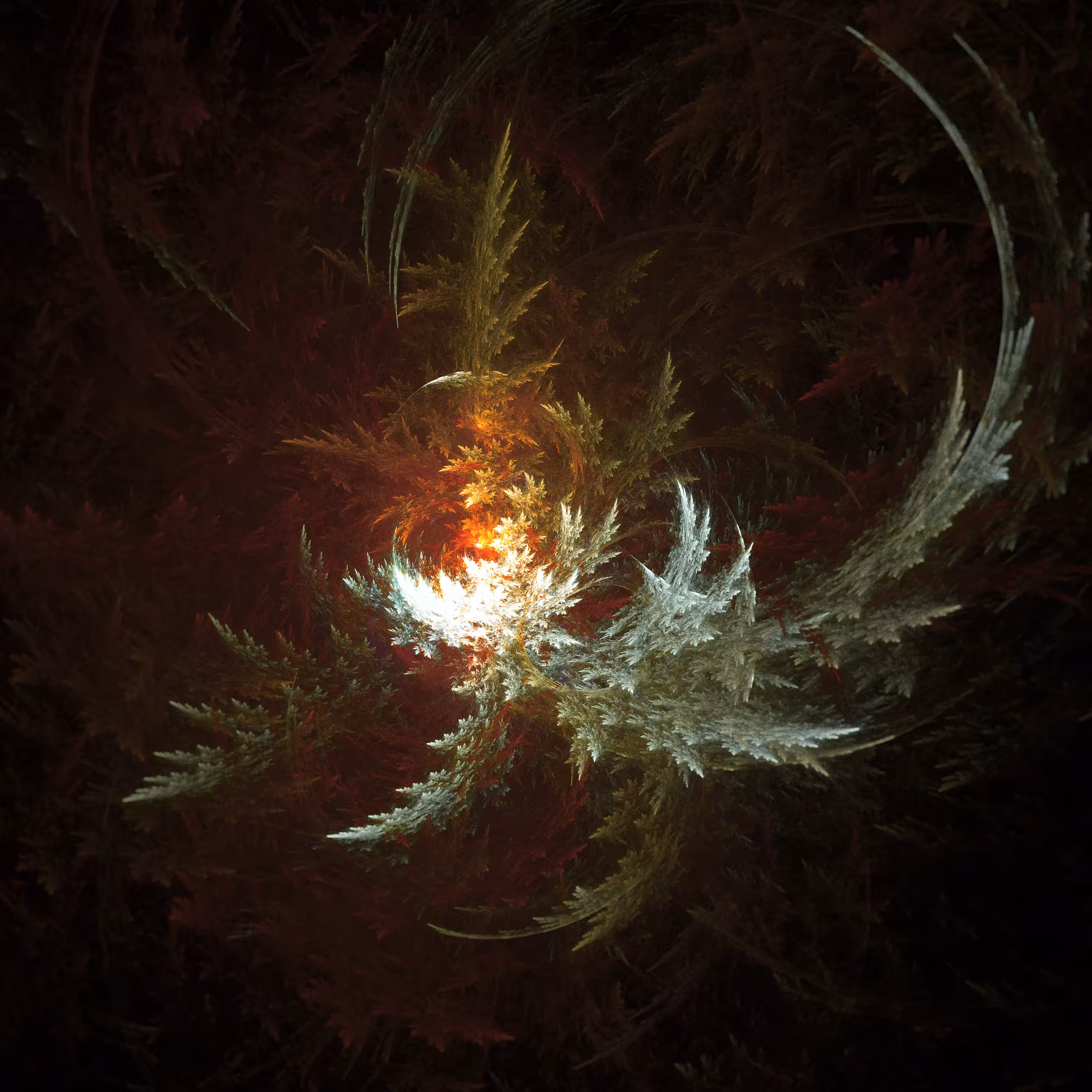 Fractal Anarchy \\ Series 001 \\ Fractal 009