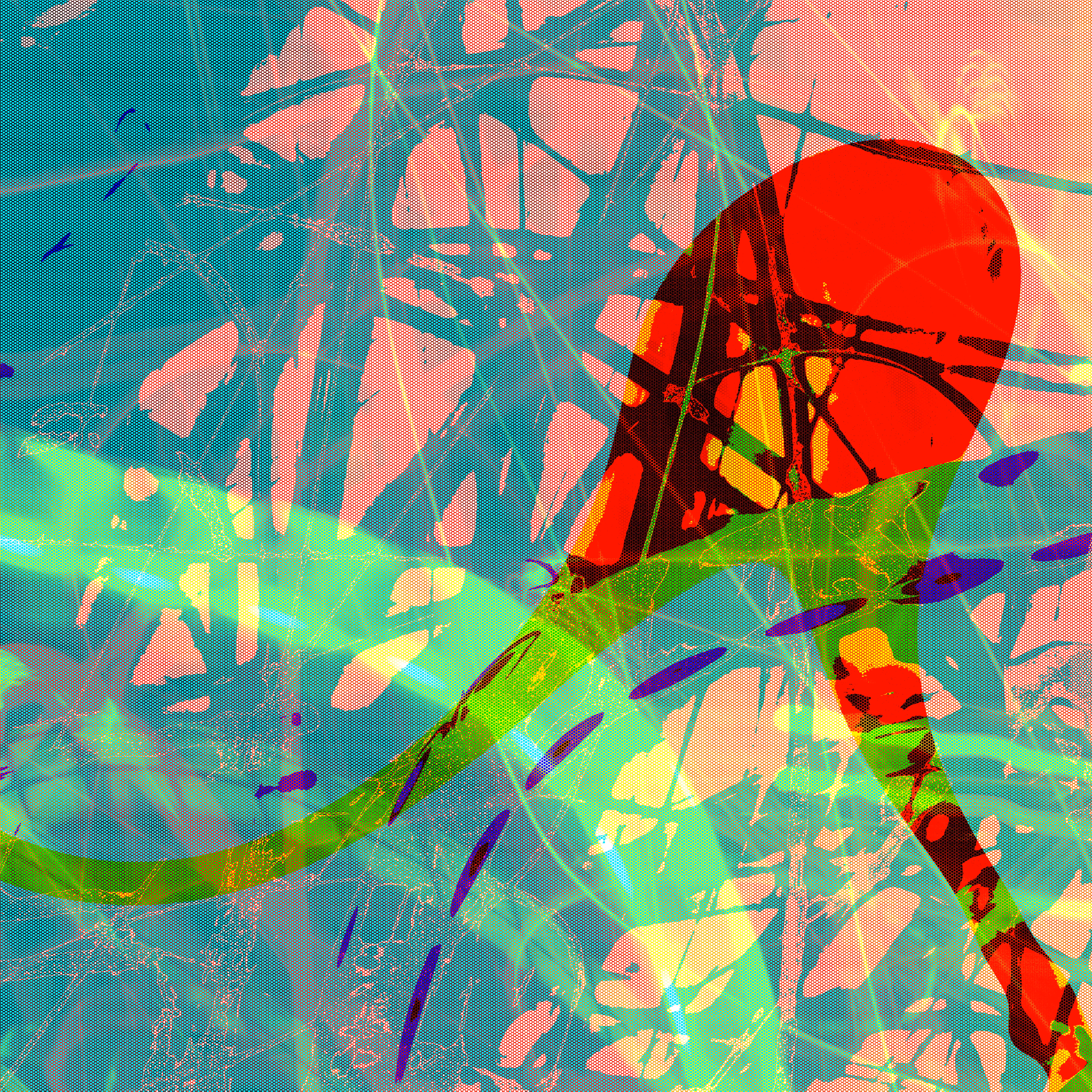 49MP: Memory Static