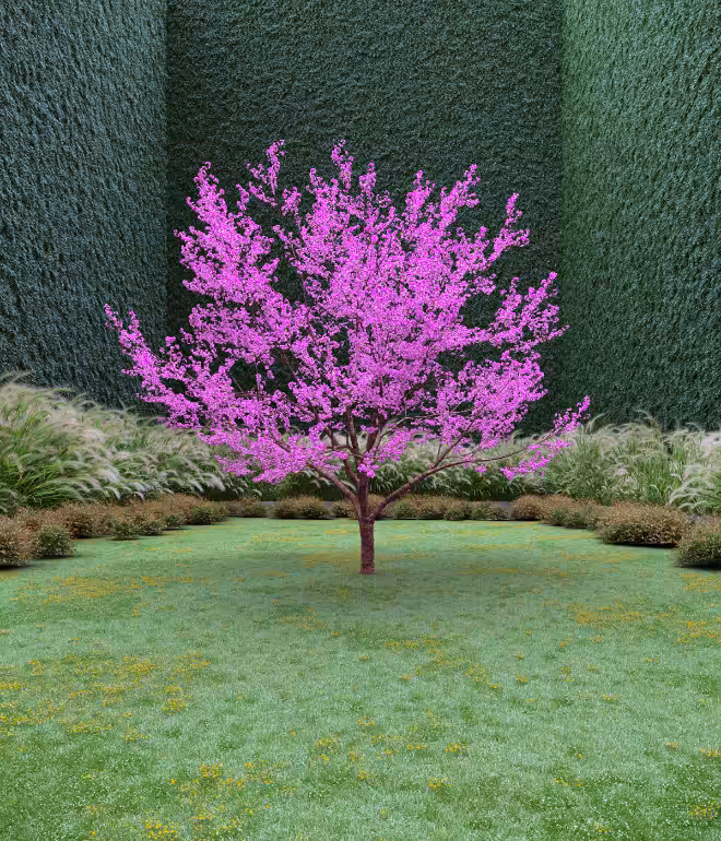 Garden of Imagination #24
