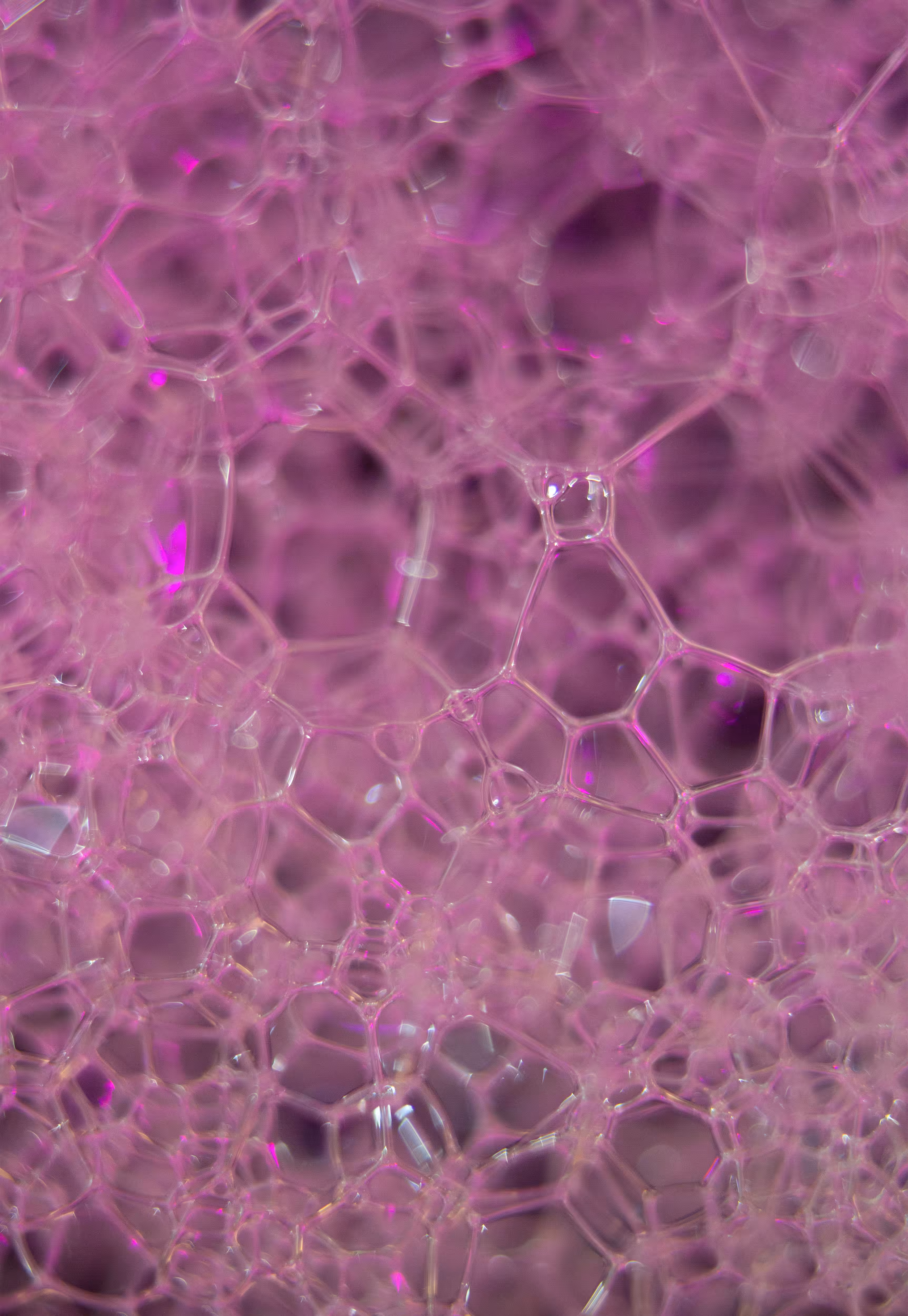 Abstract World of Soap Bubbles: #63 Bubbles