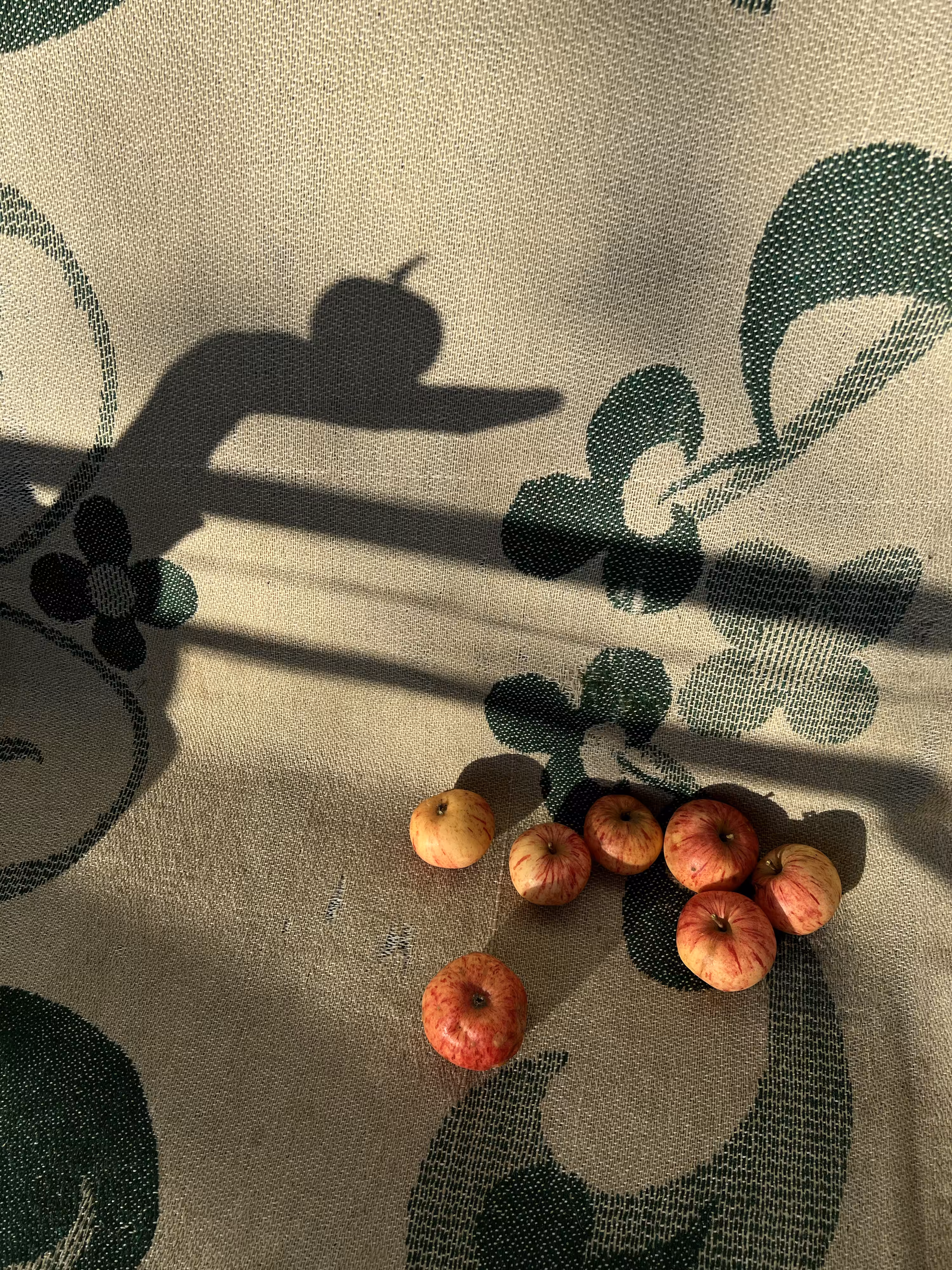 Harvest
