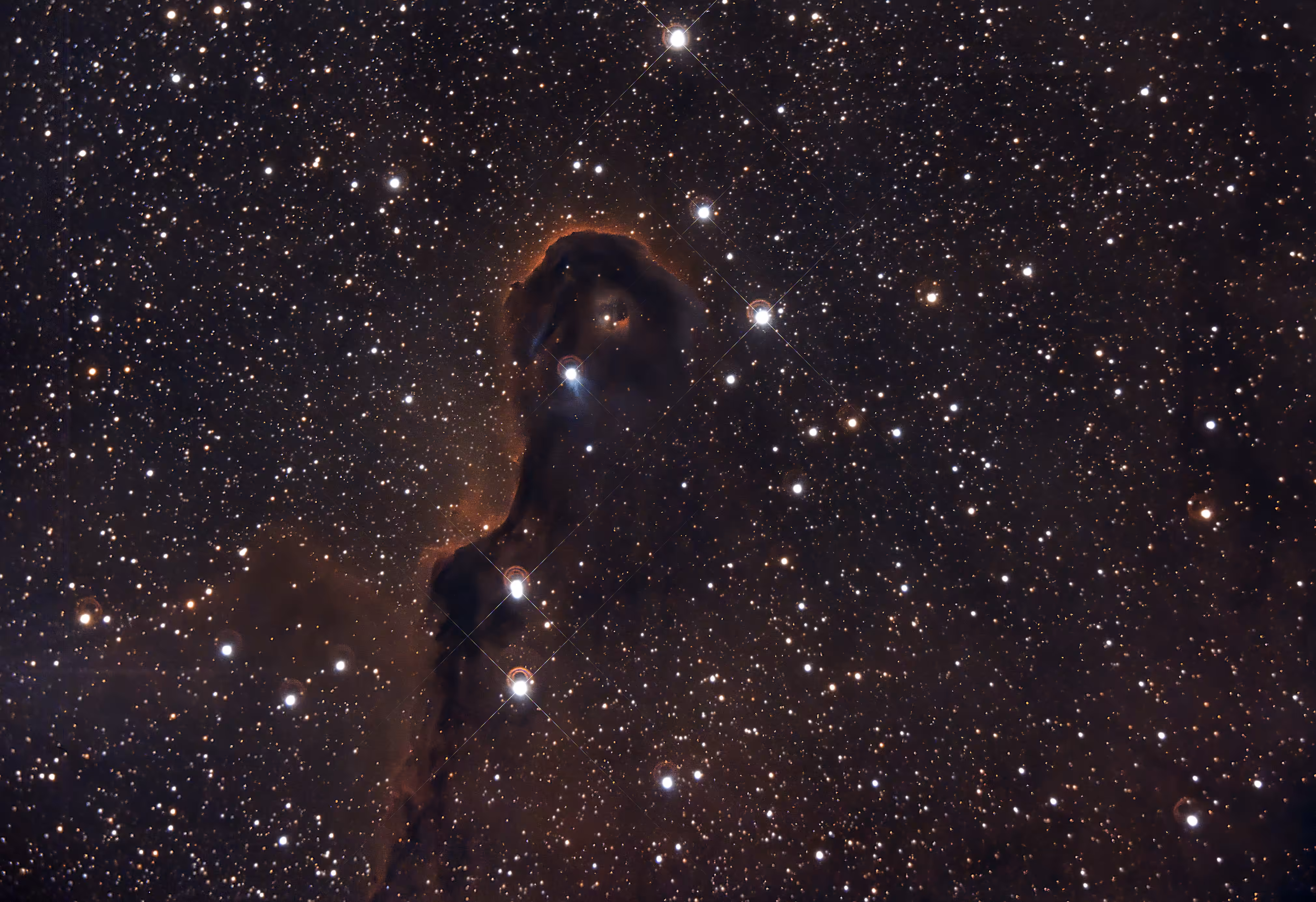 Elephant's Trunk Nebula