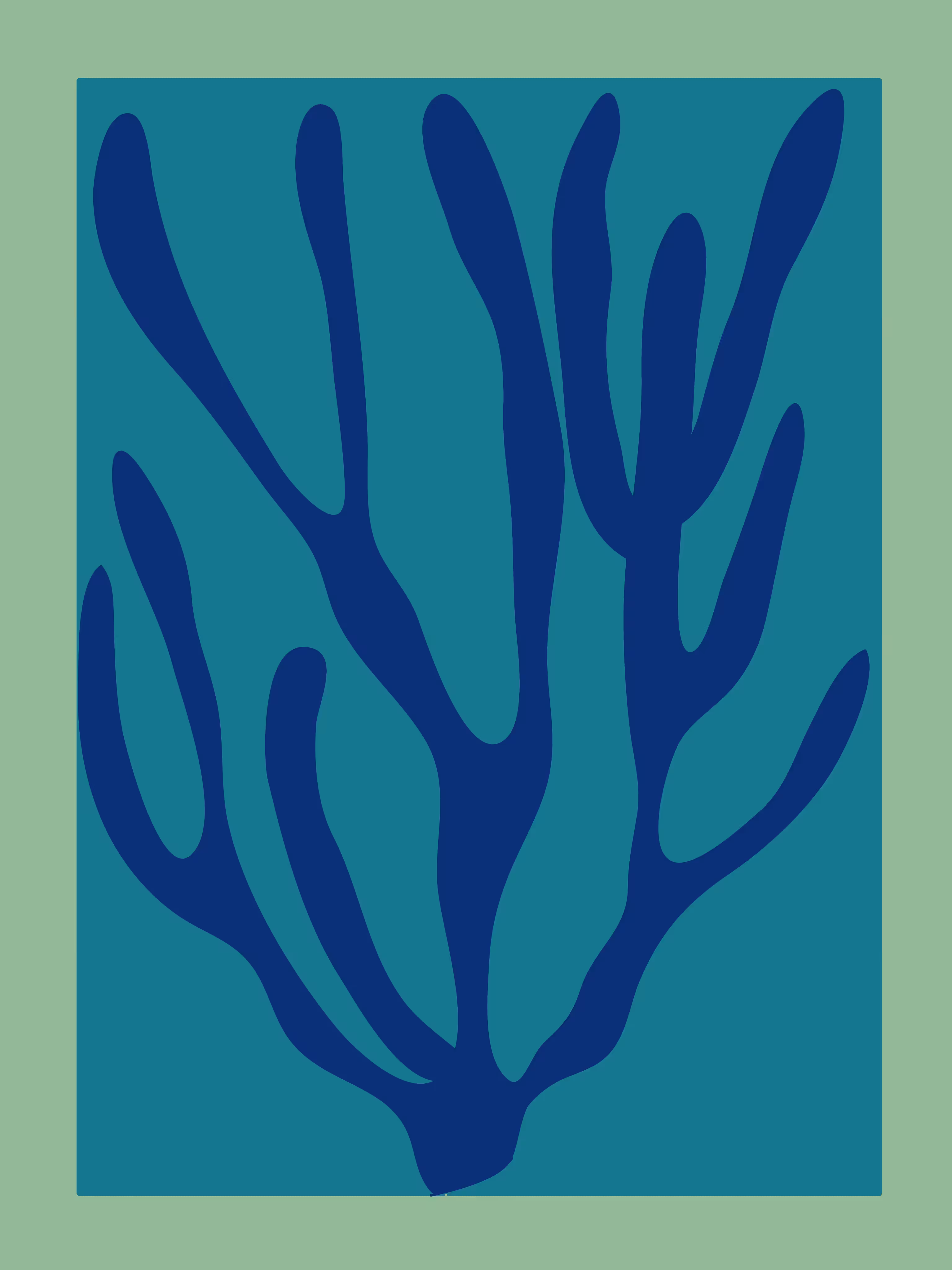 Kelp 15