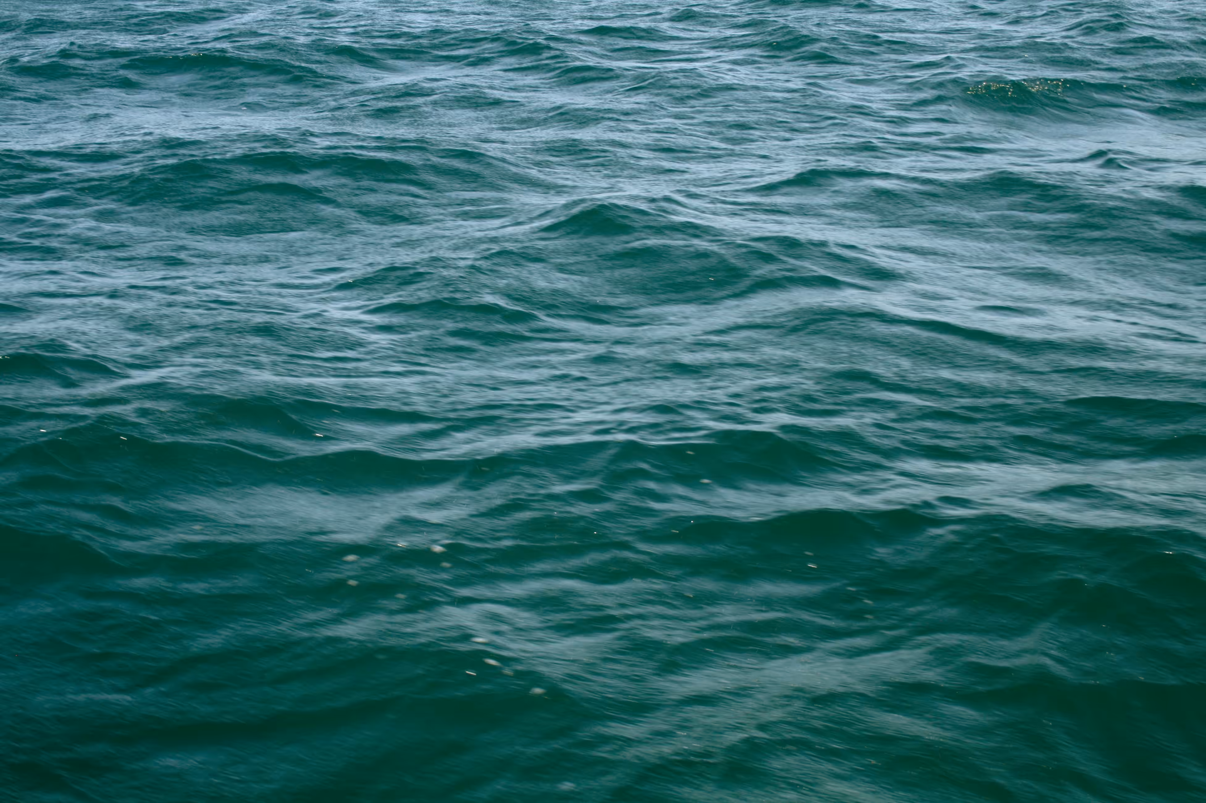 DeepCaribbean Color Palette