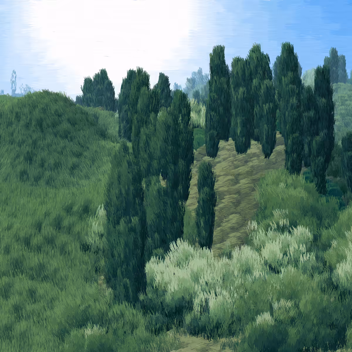 Provence #134