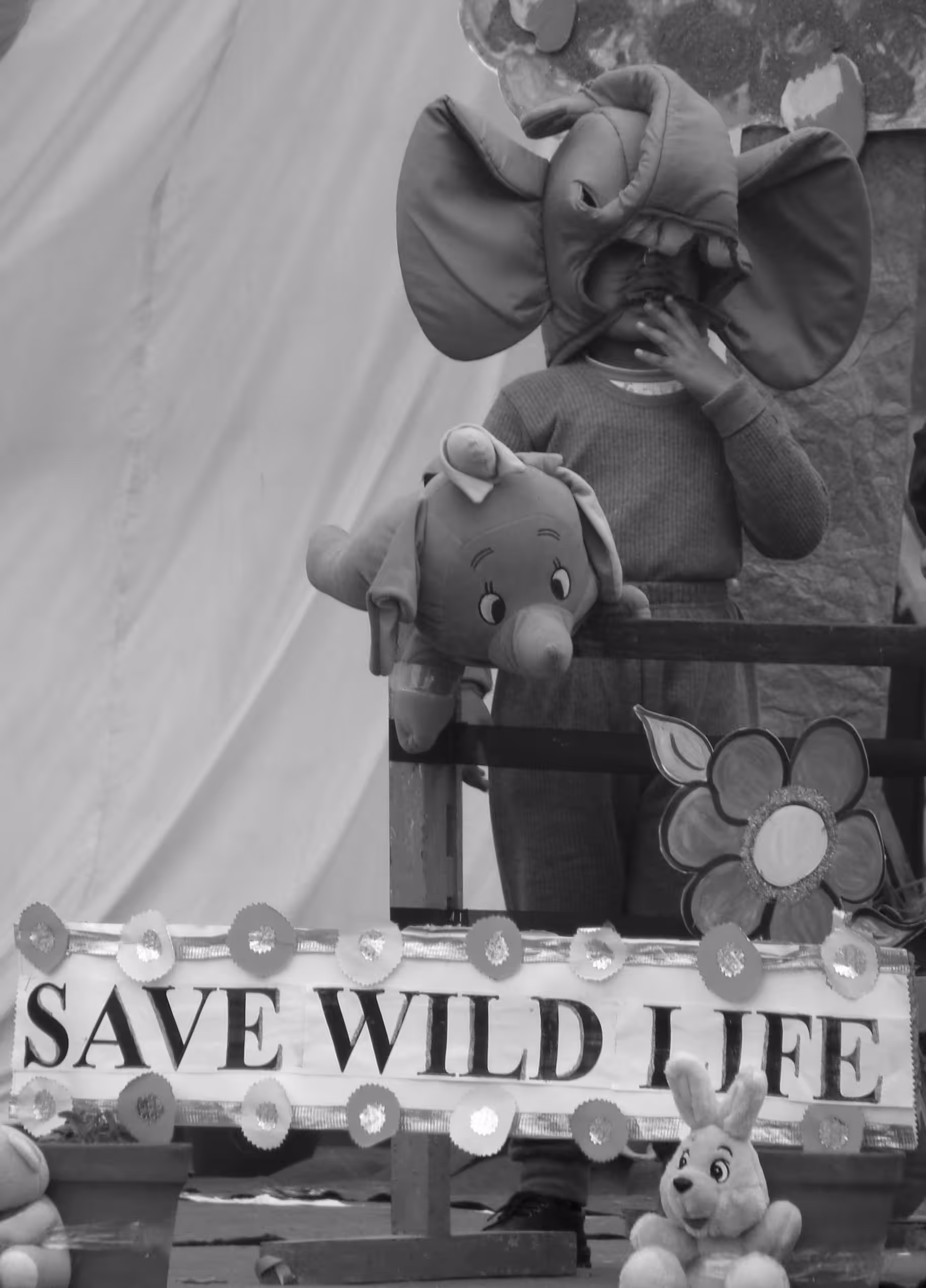 Save Wild Life