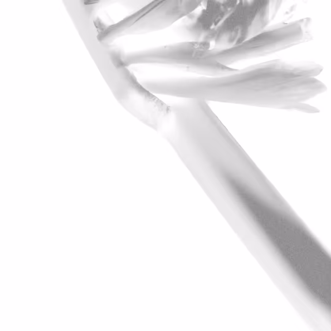UBIK II