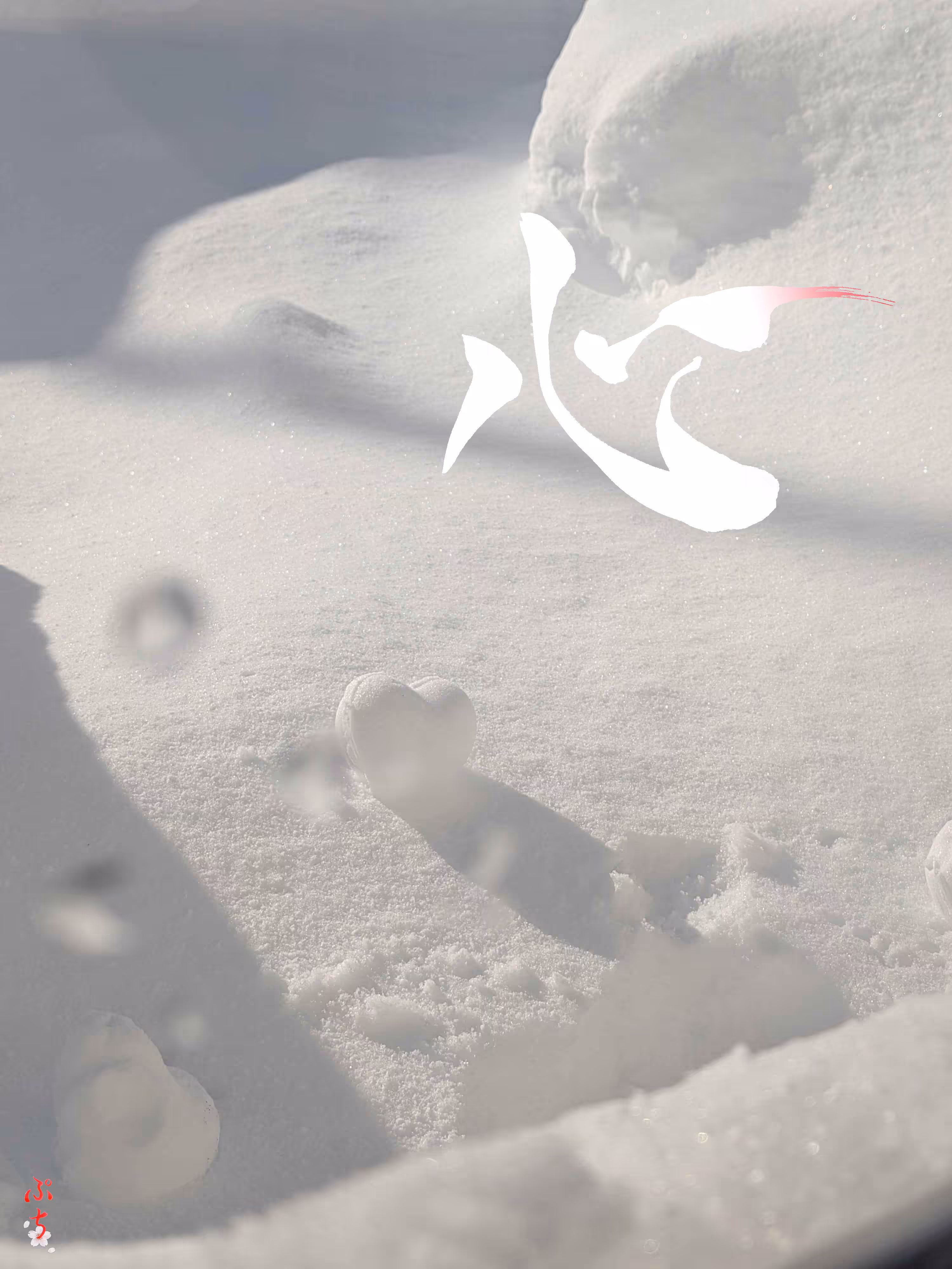 心 （kokoro）~ heart