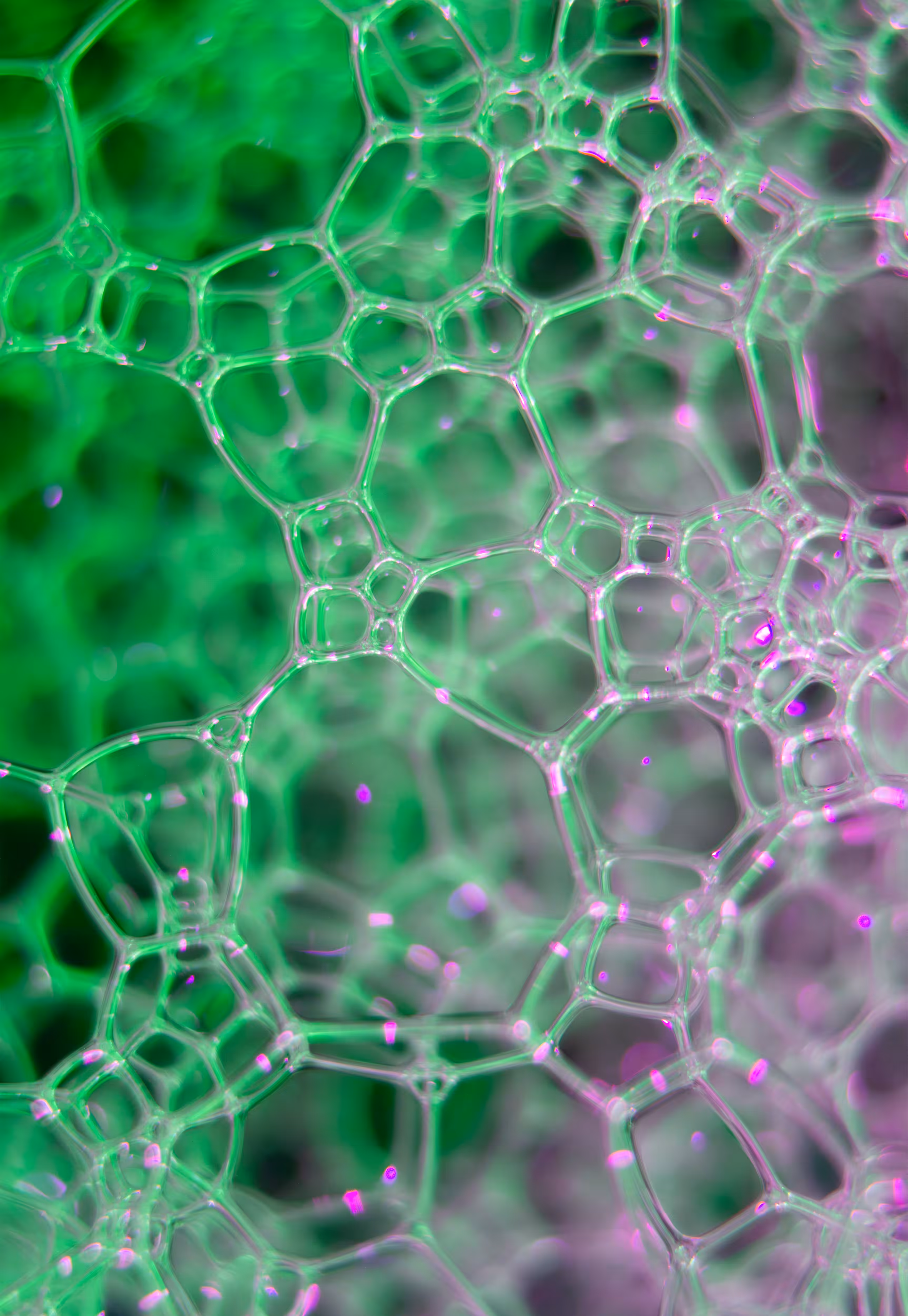 Abstract World of Soap Bubbles: #218 Bubbles