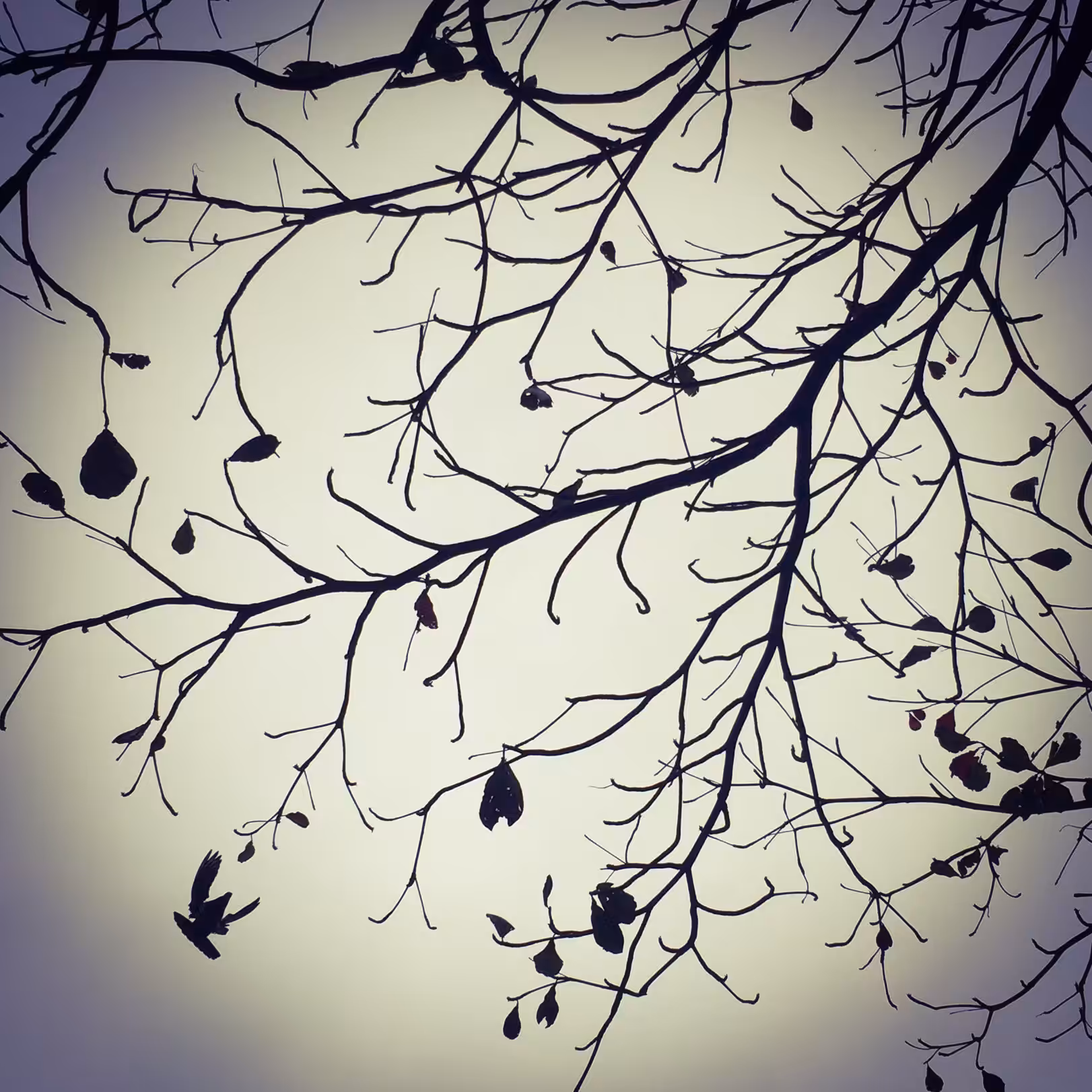 March
