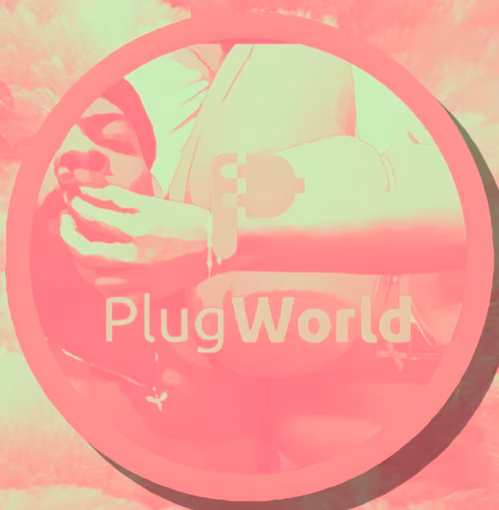 PlugLove