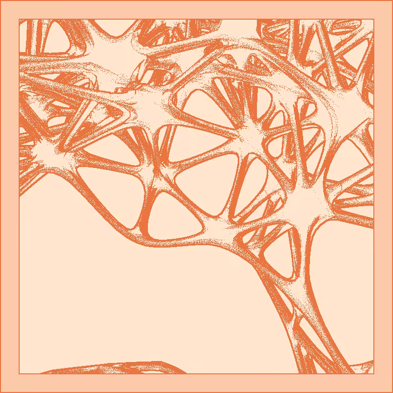 Bones that support nothing #78