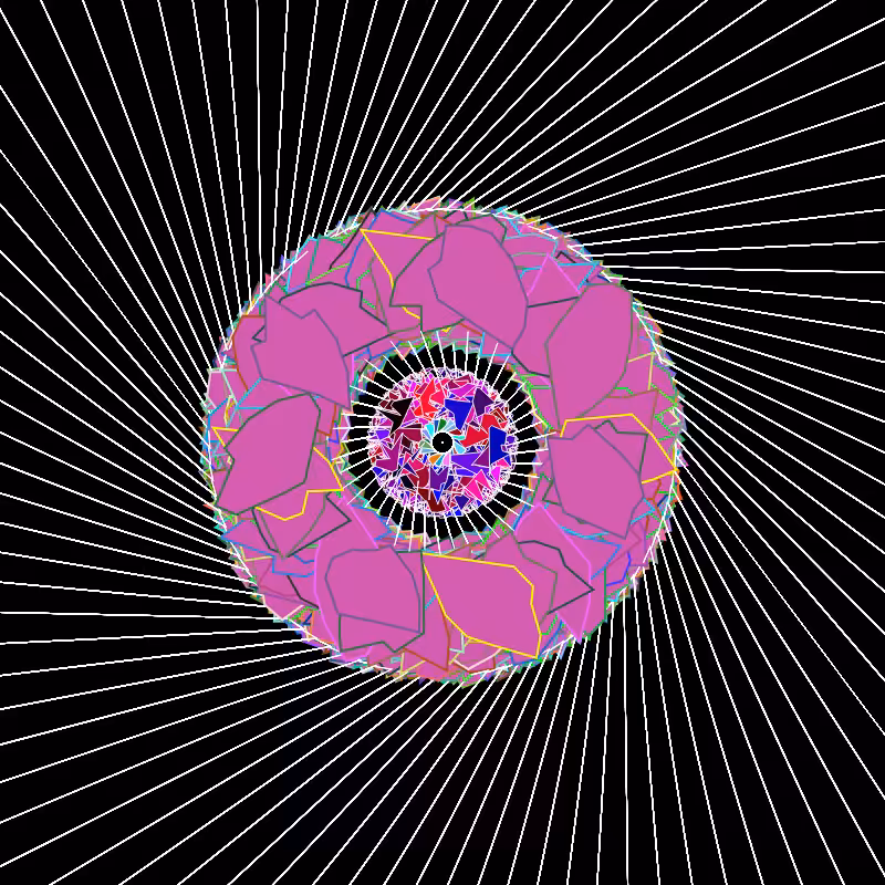 Transcendental Roses #3