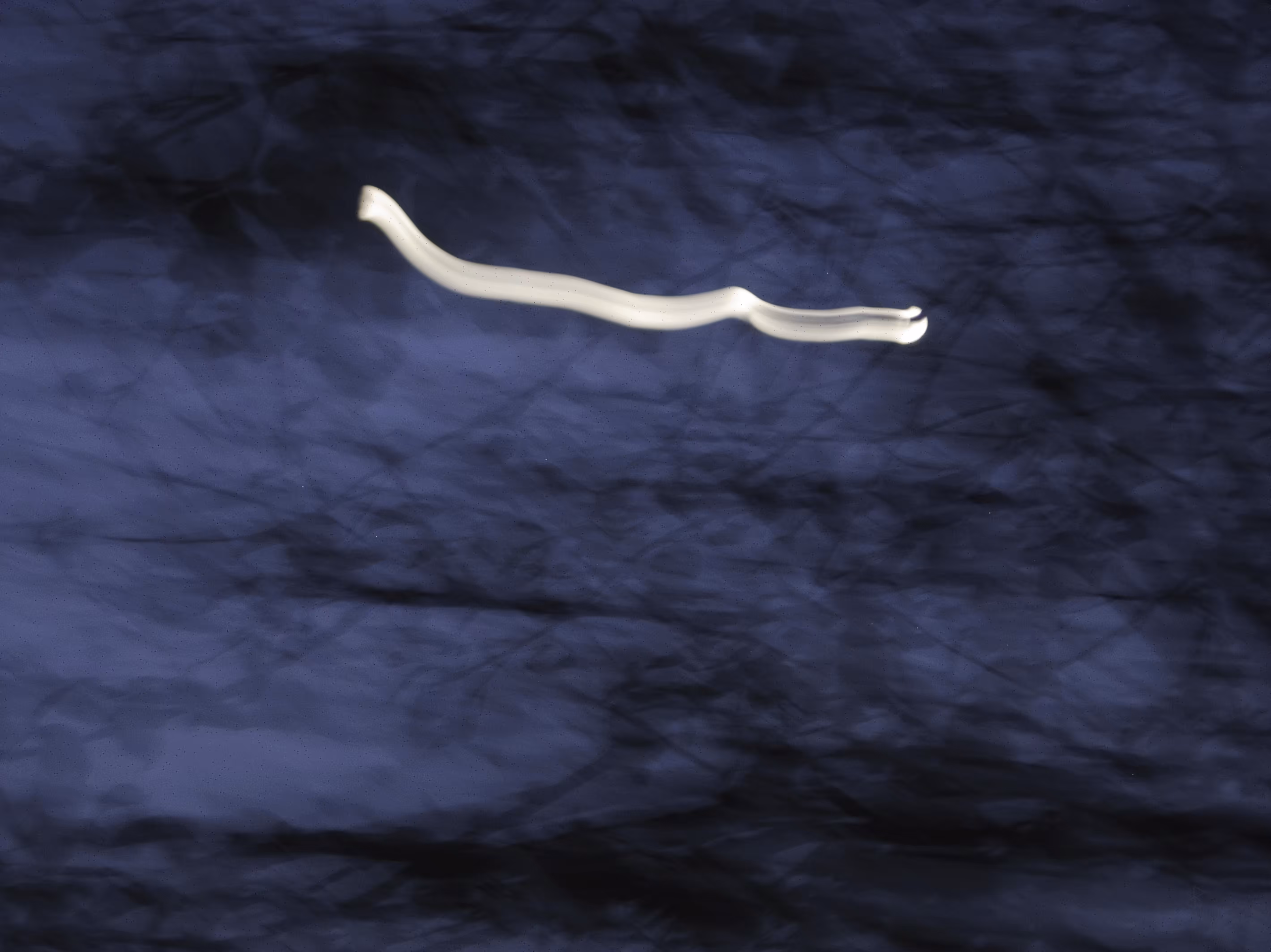 Moon study #7