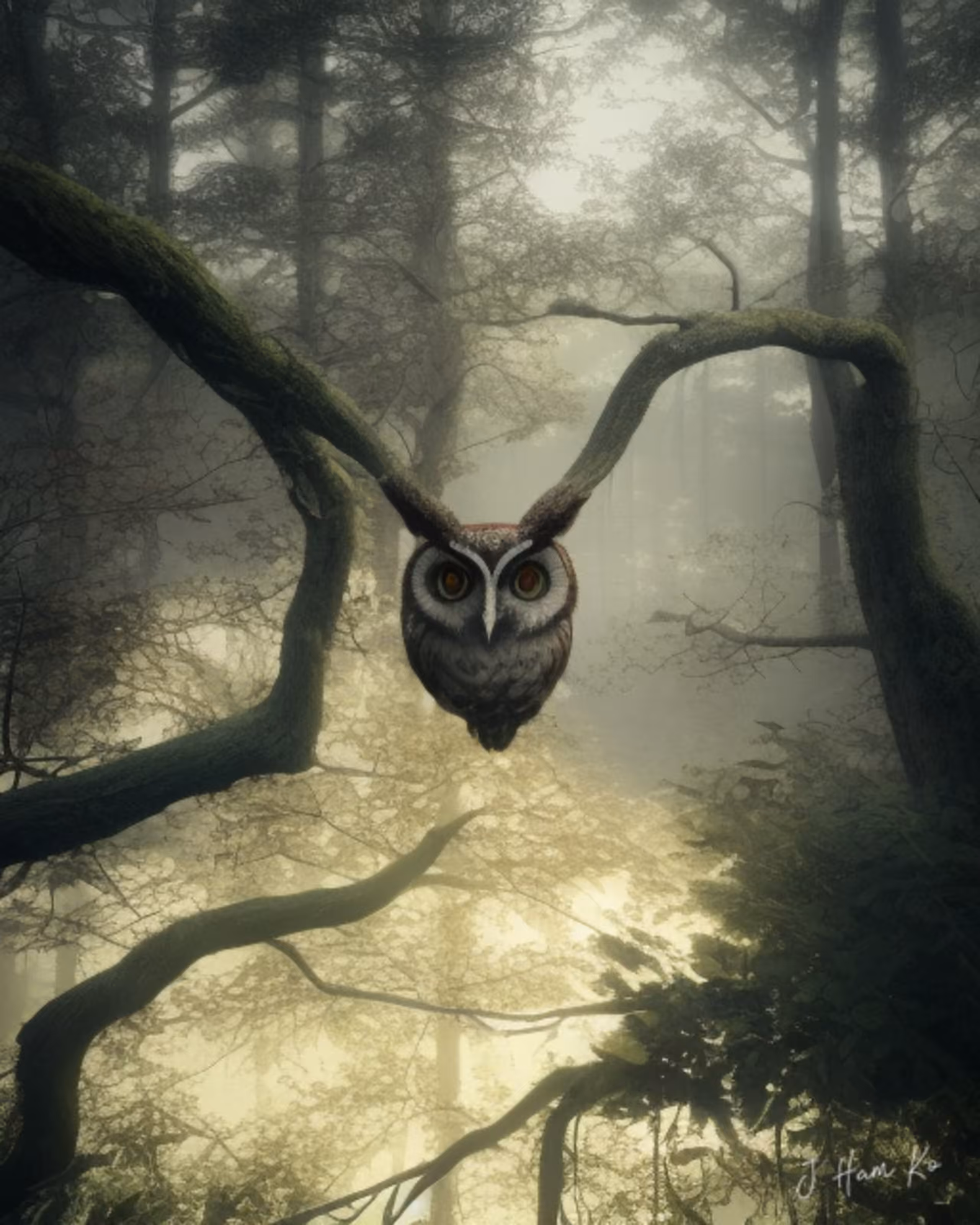 Imagination Designs: Rooted