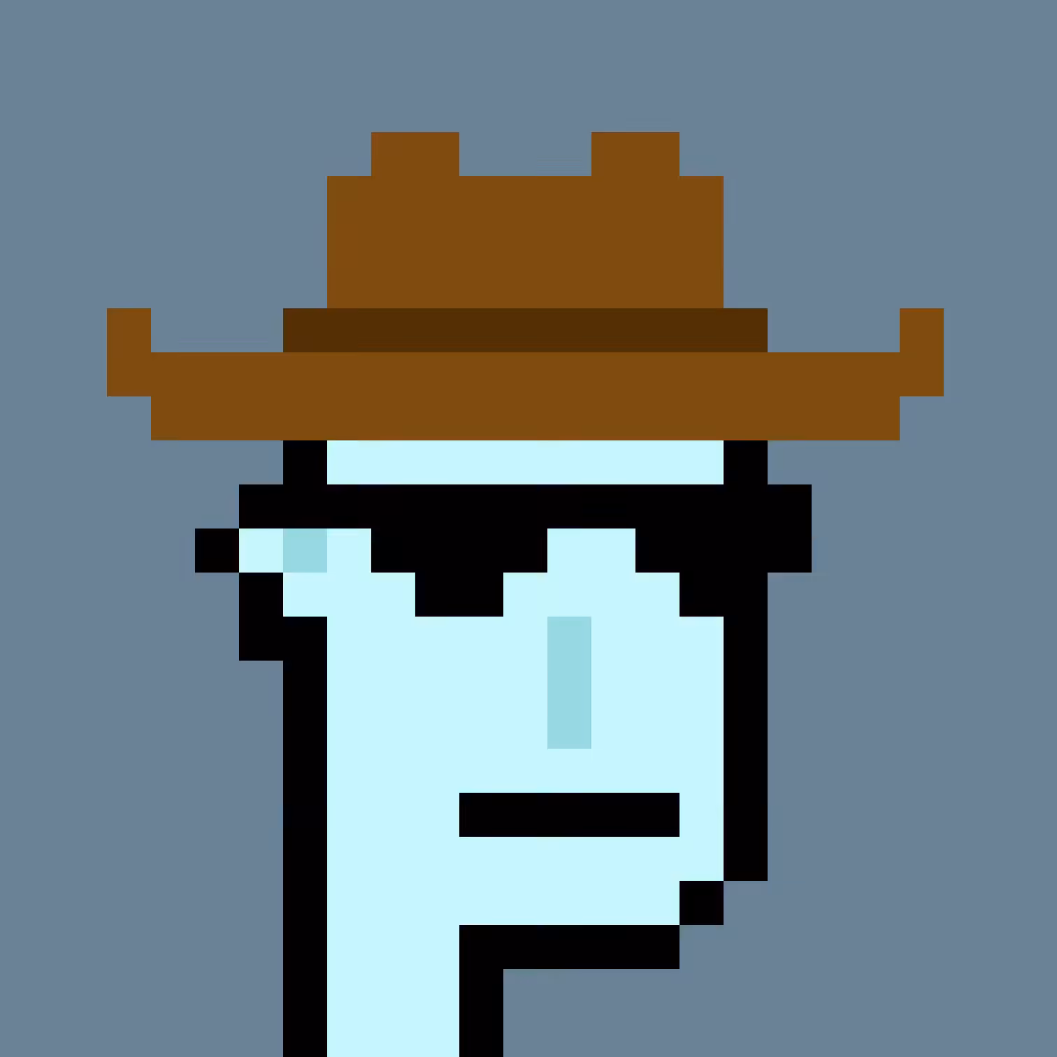 MissingPunk #111