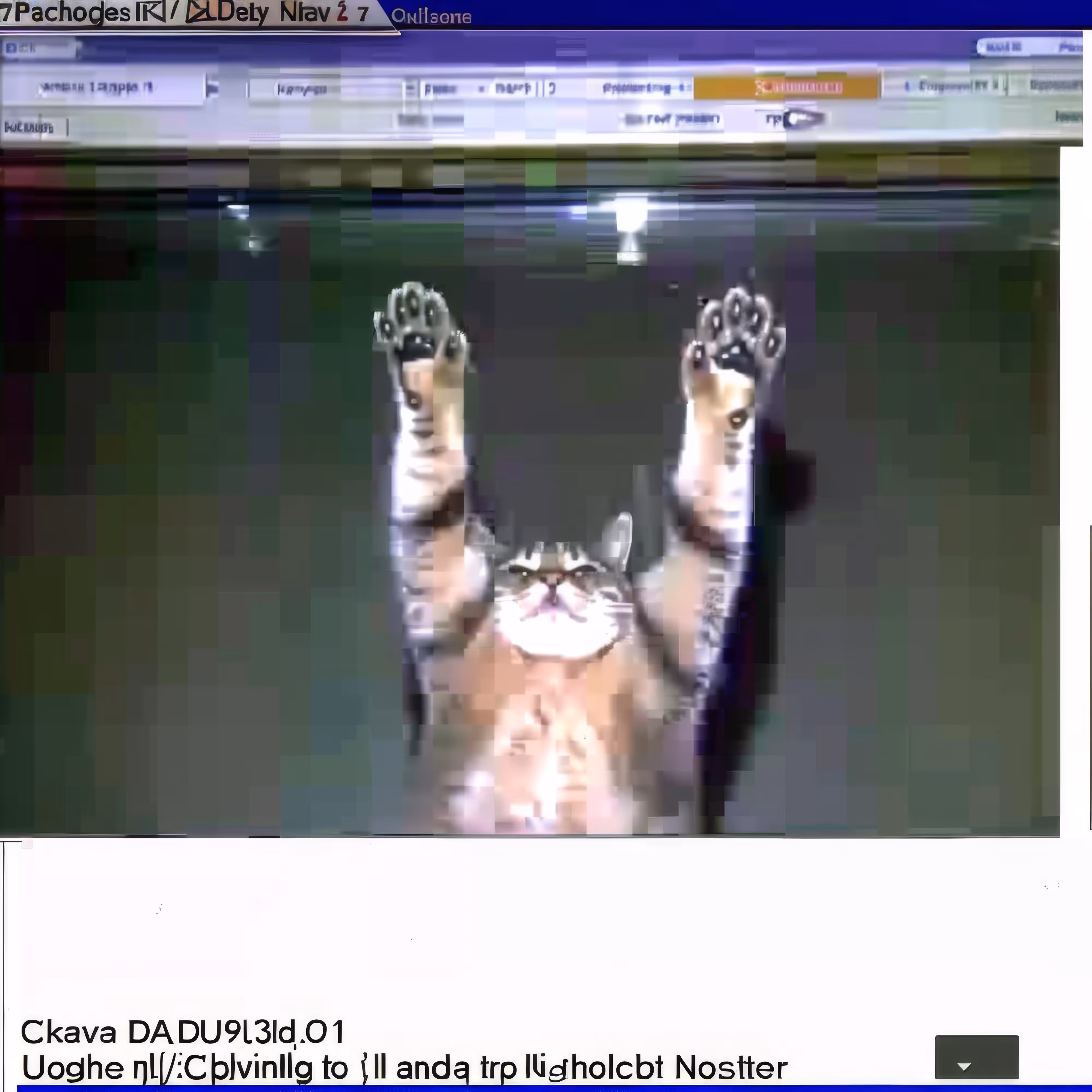 Paw-Me