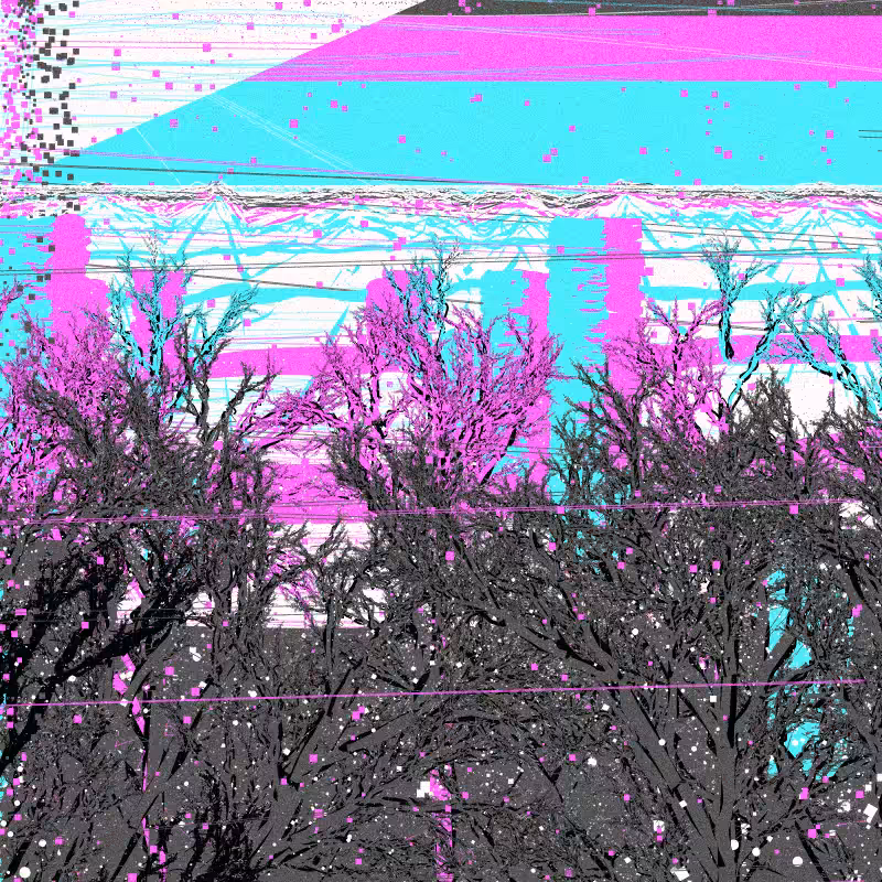 The Wintertime #16