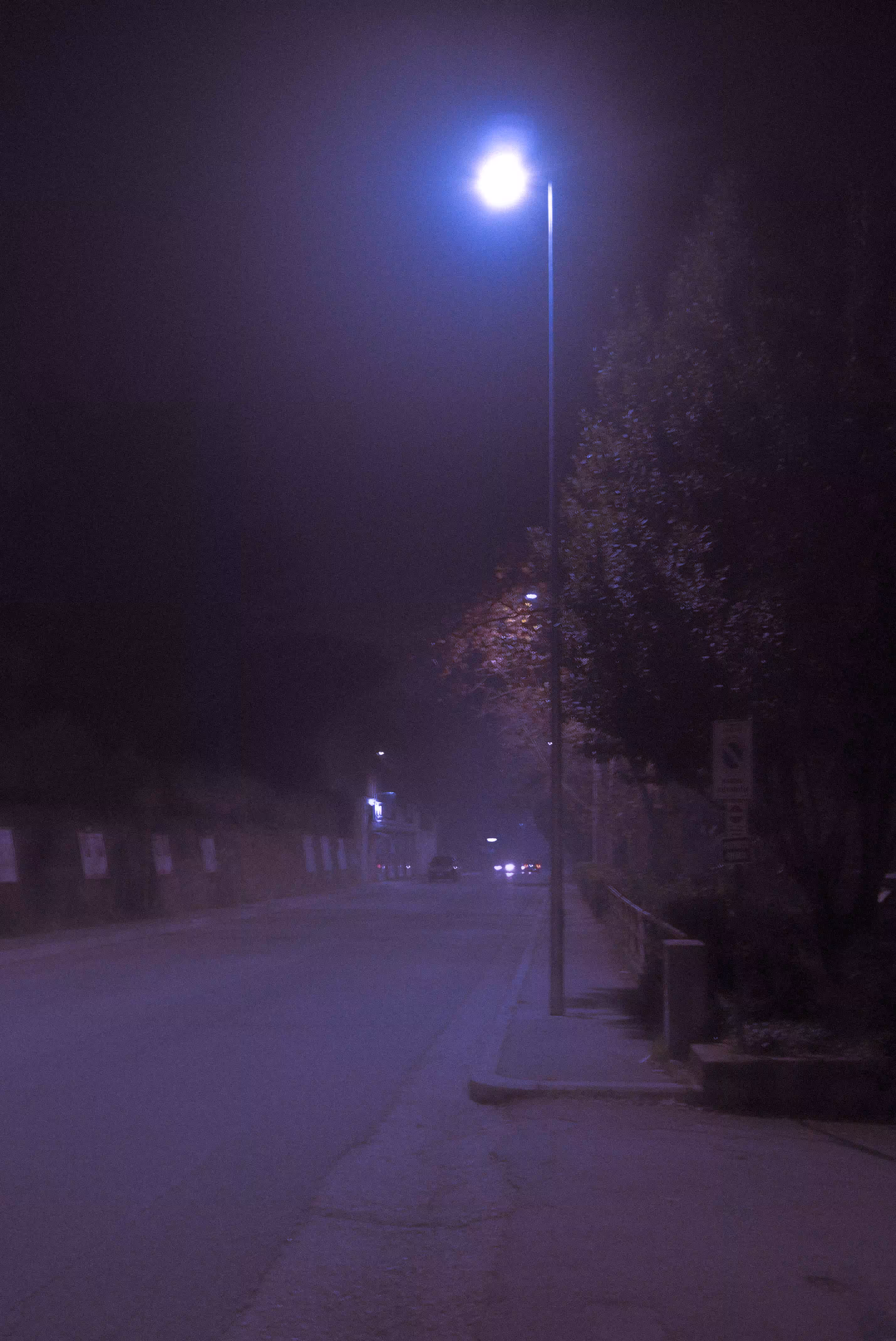 Lonely