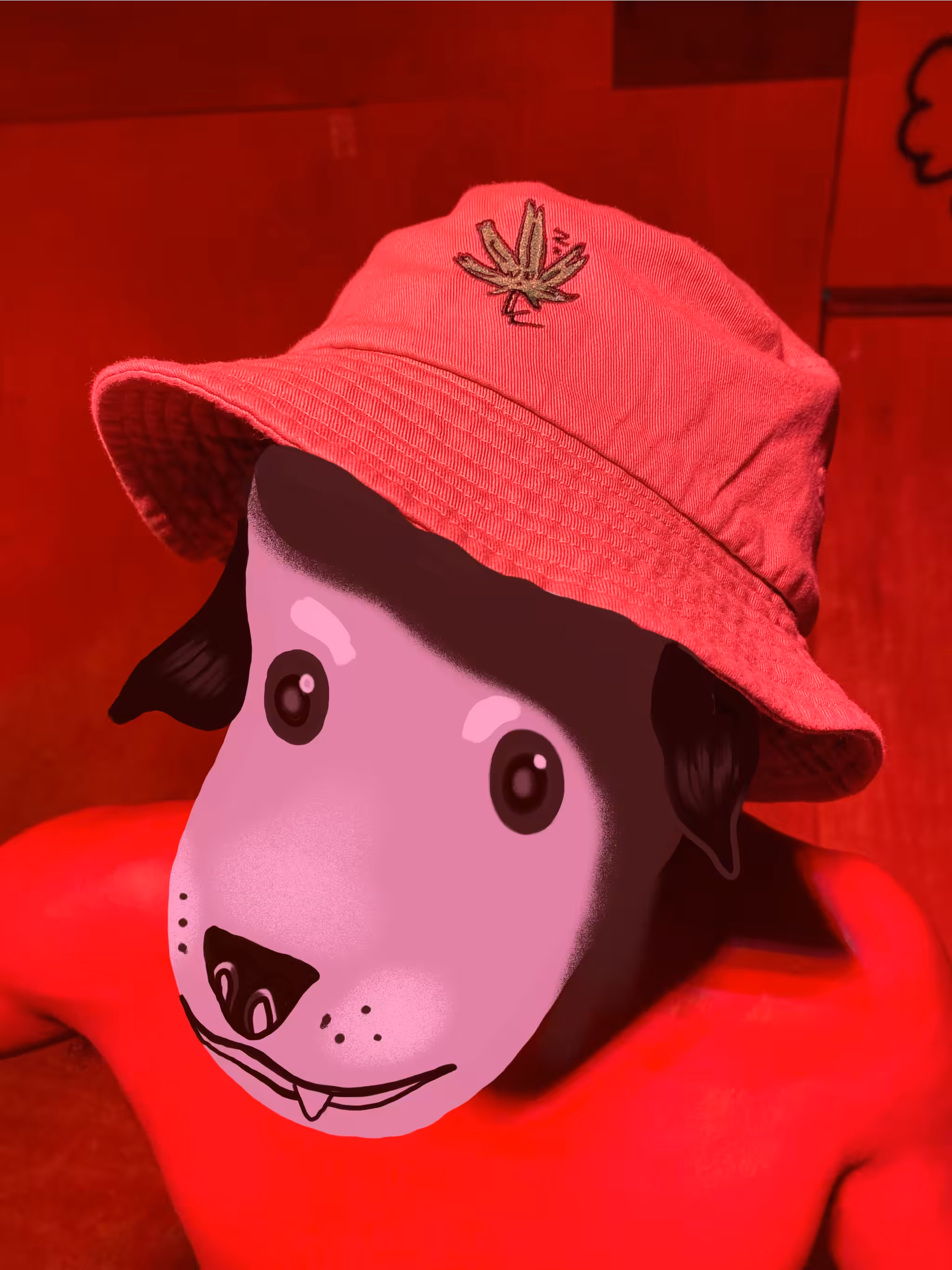 a stoned ass dog