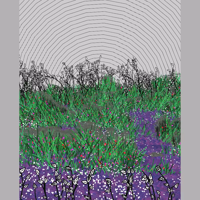 Contours #13