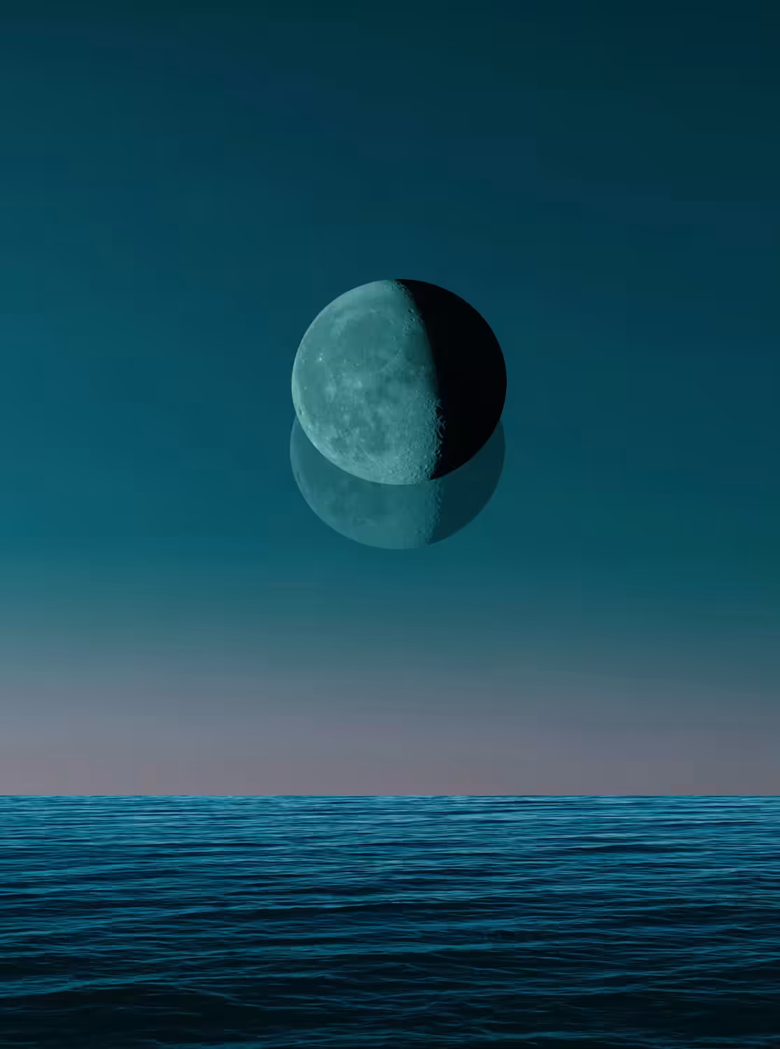 Sea dreams