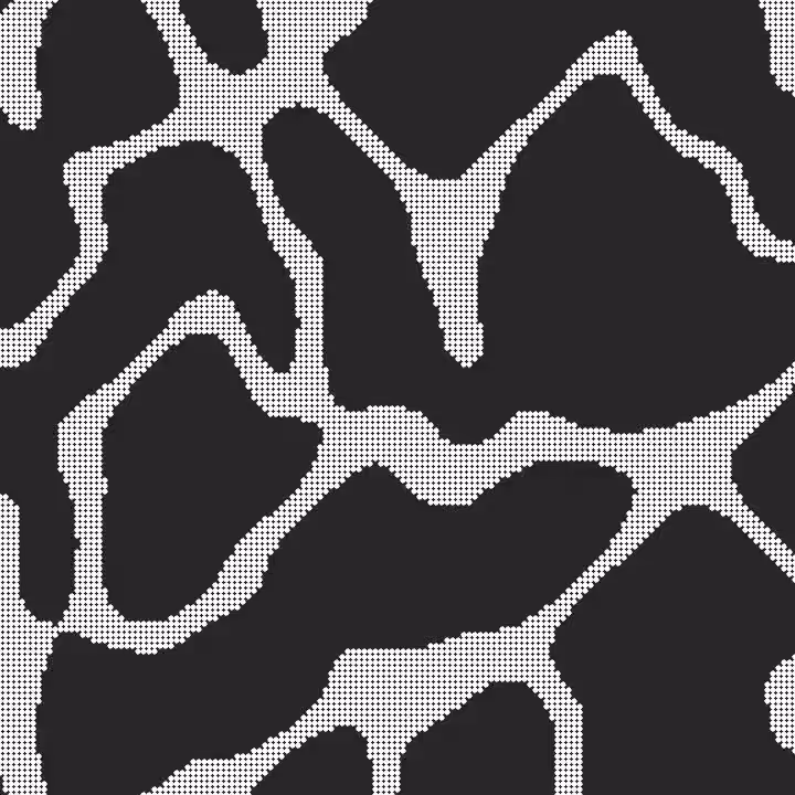 DoodleDeProgramming_20250304