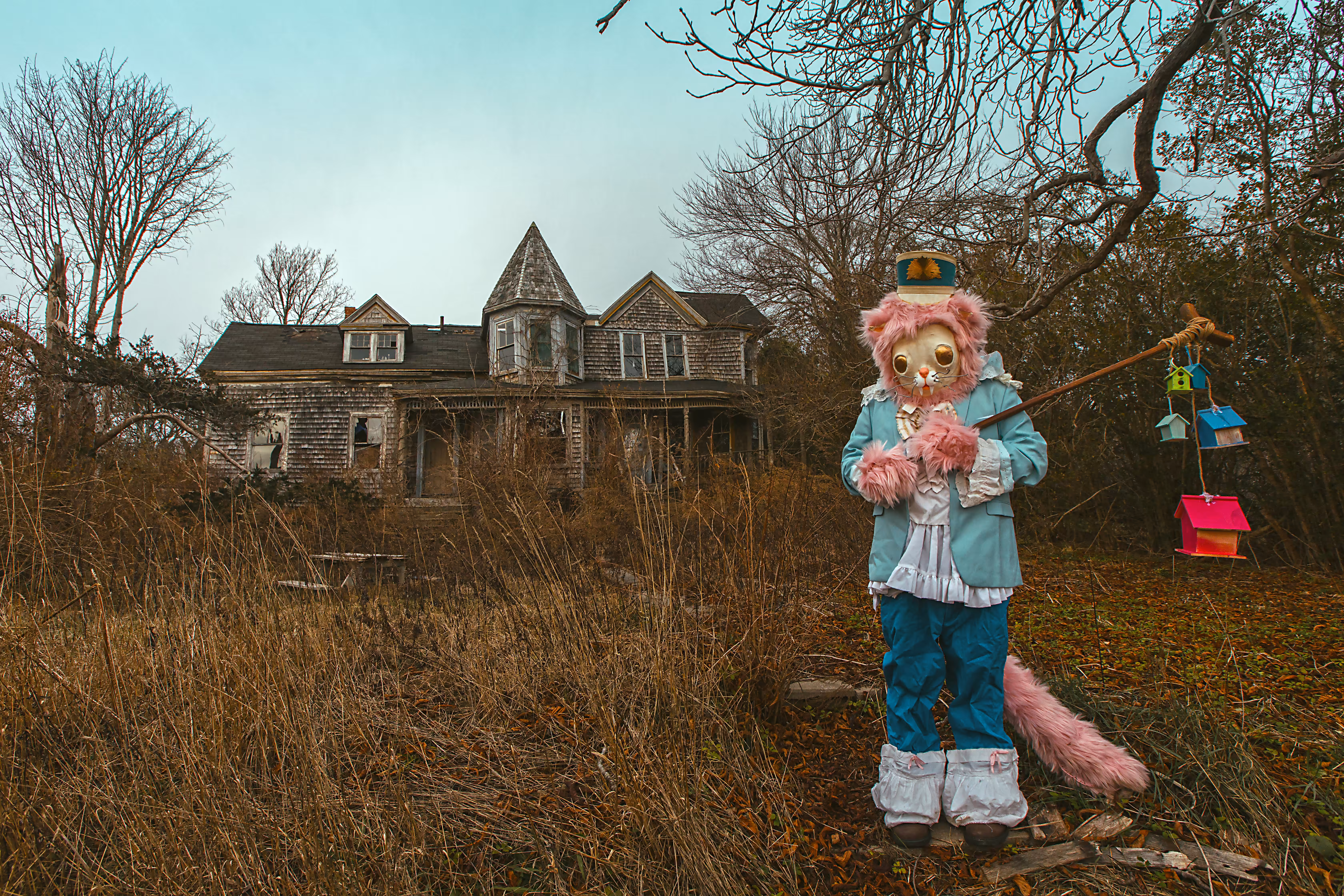 Candy Colored Cat and the Haunted House