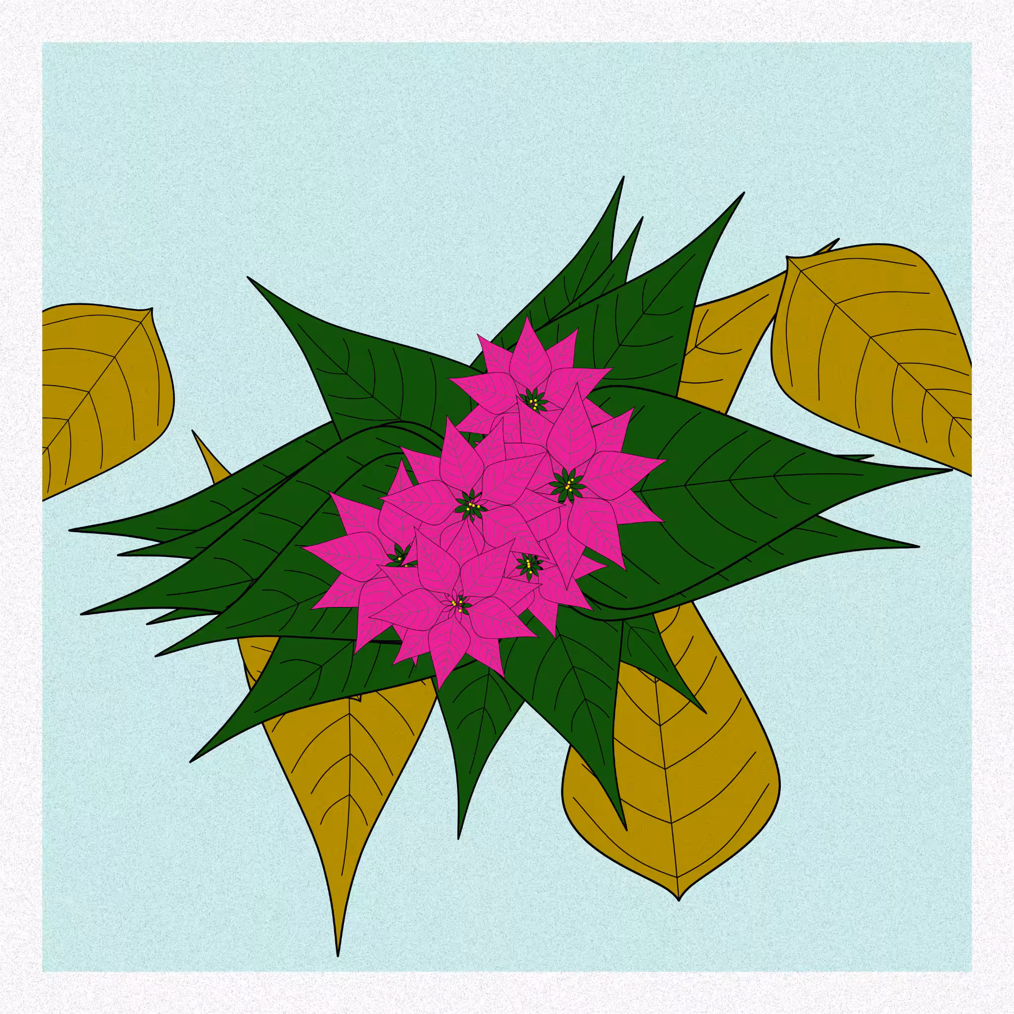 Flowers #147