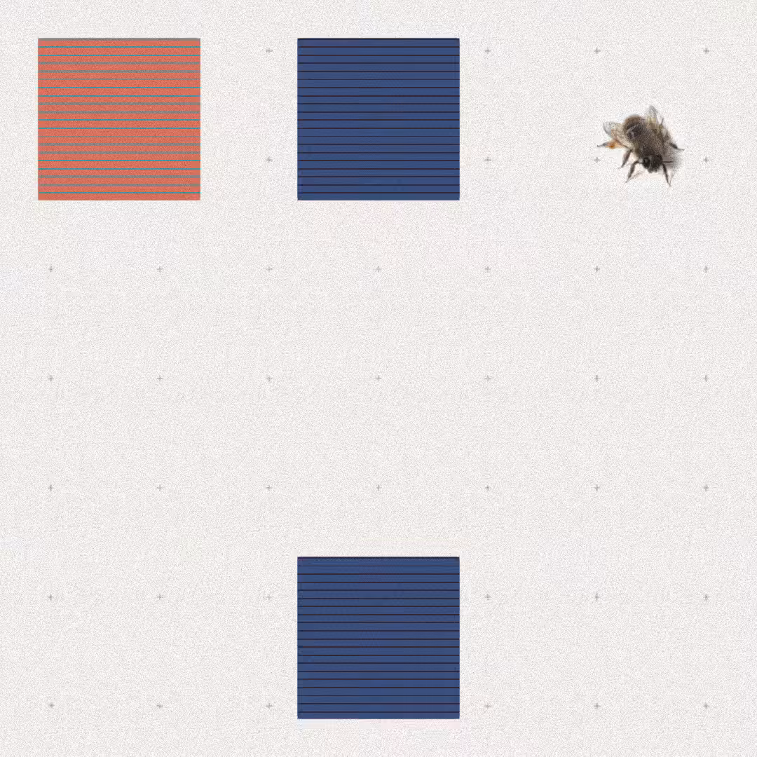 Bee #102