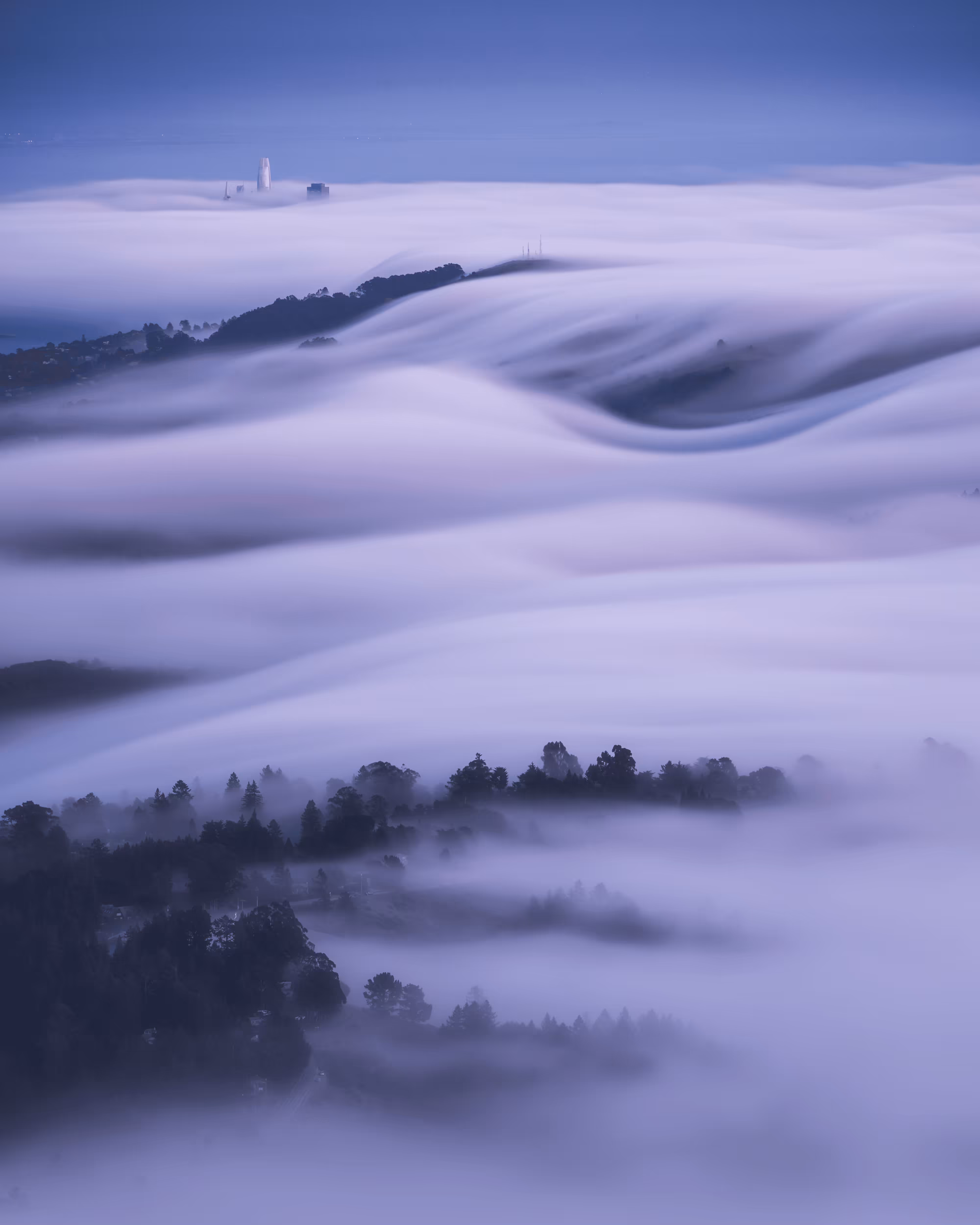 A Symphony of Fog #10