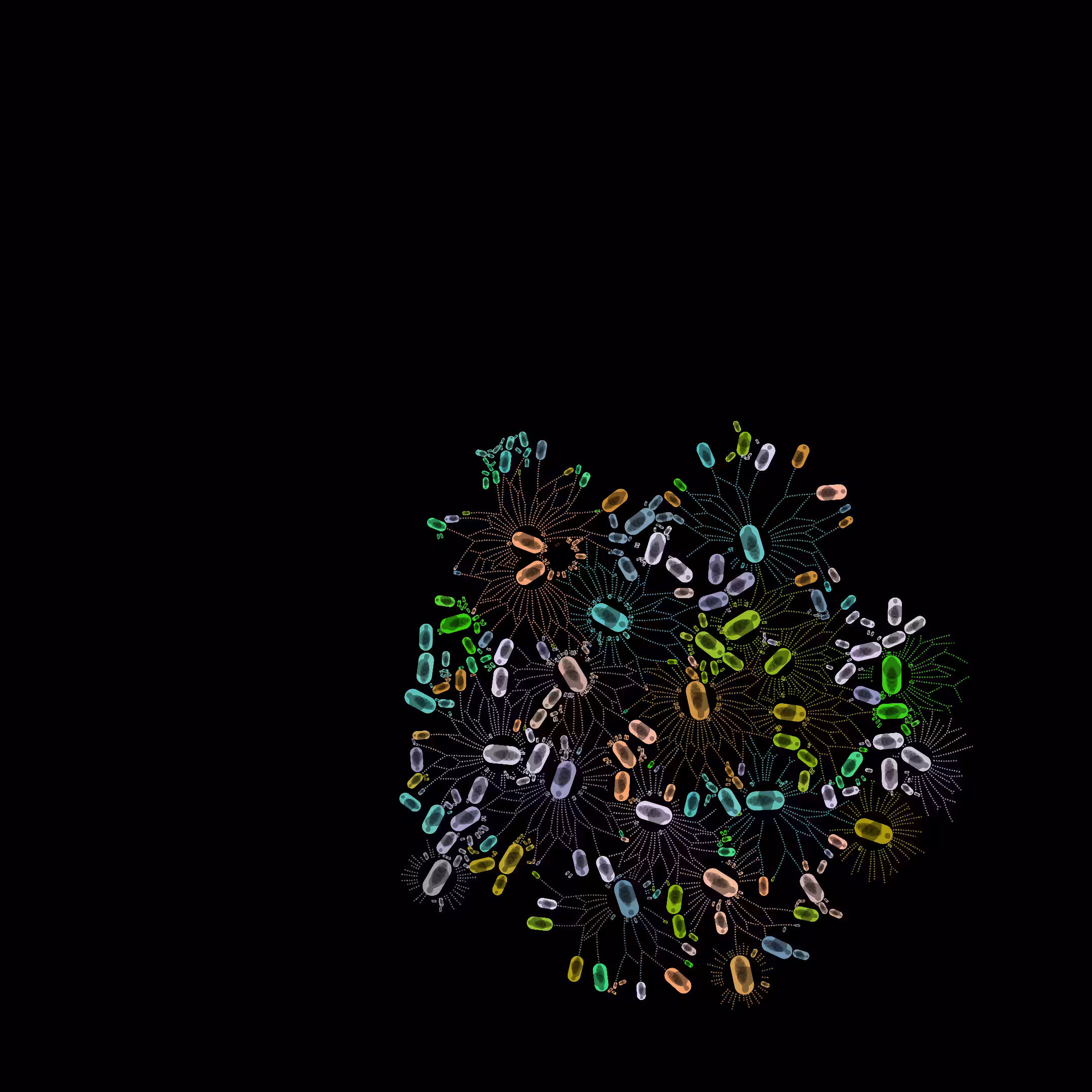 Circle Of Life #119