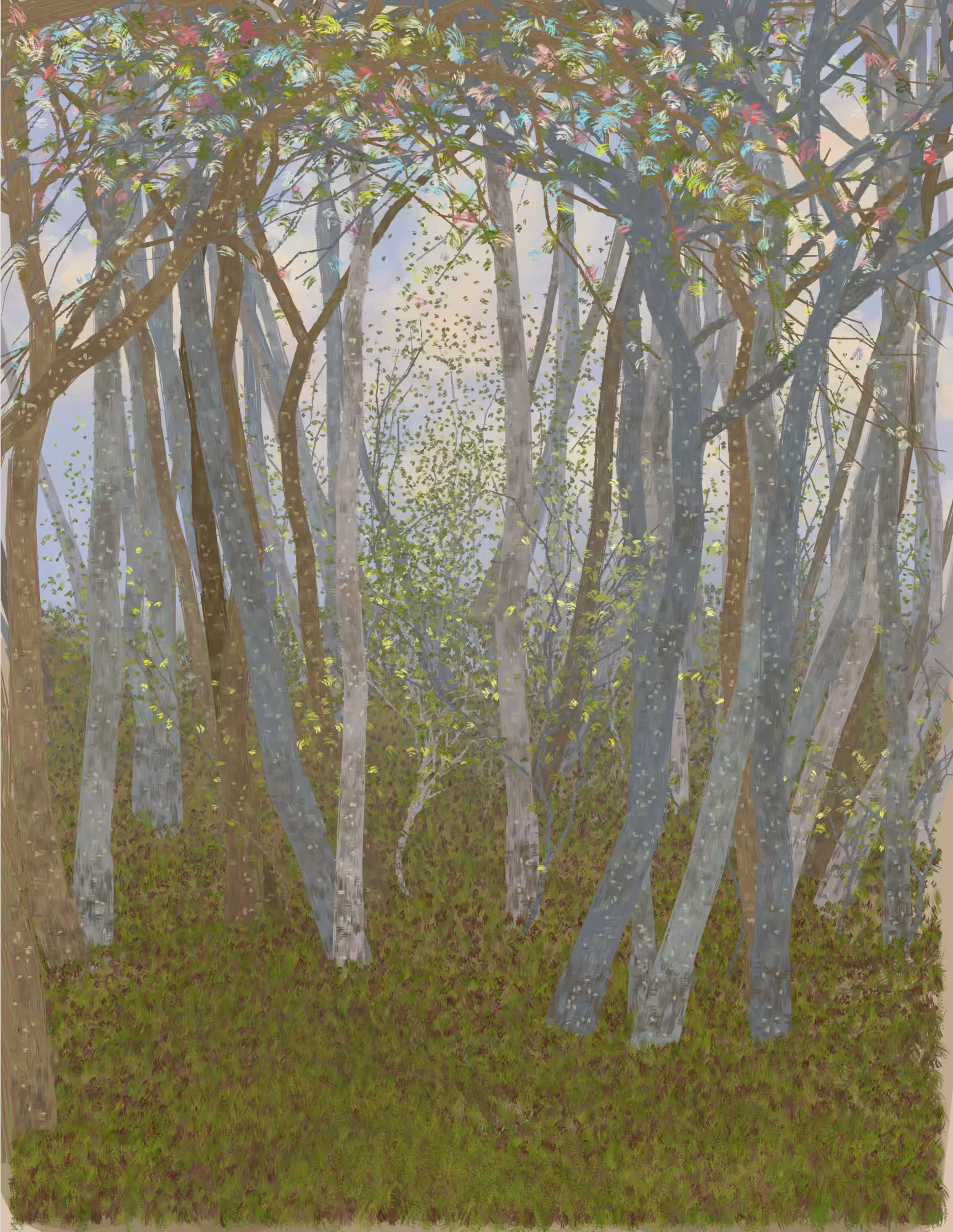 Deep Forest #223