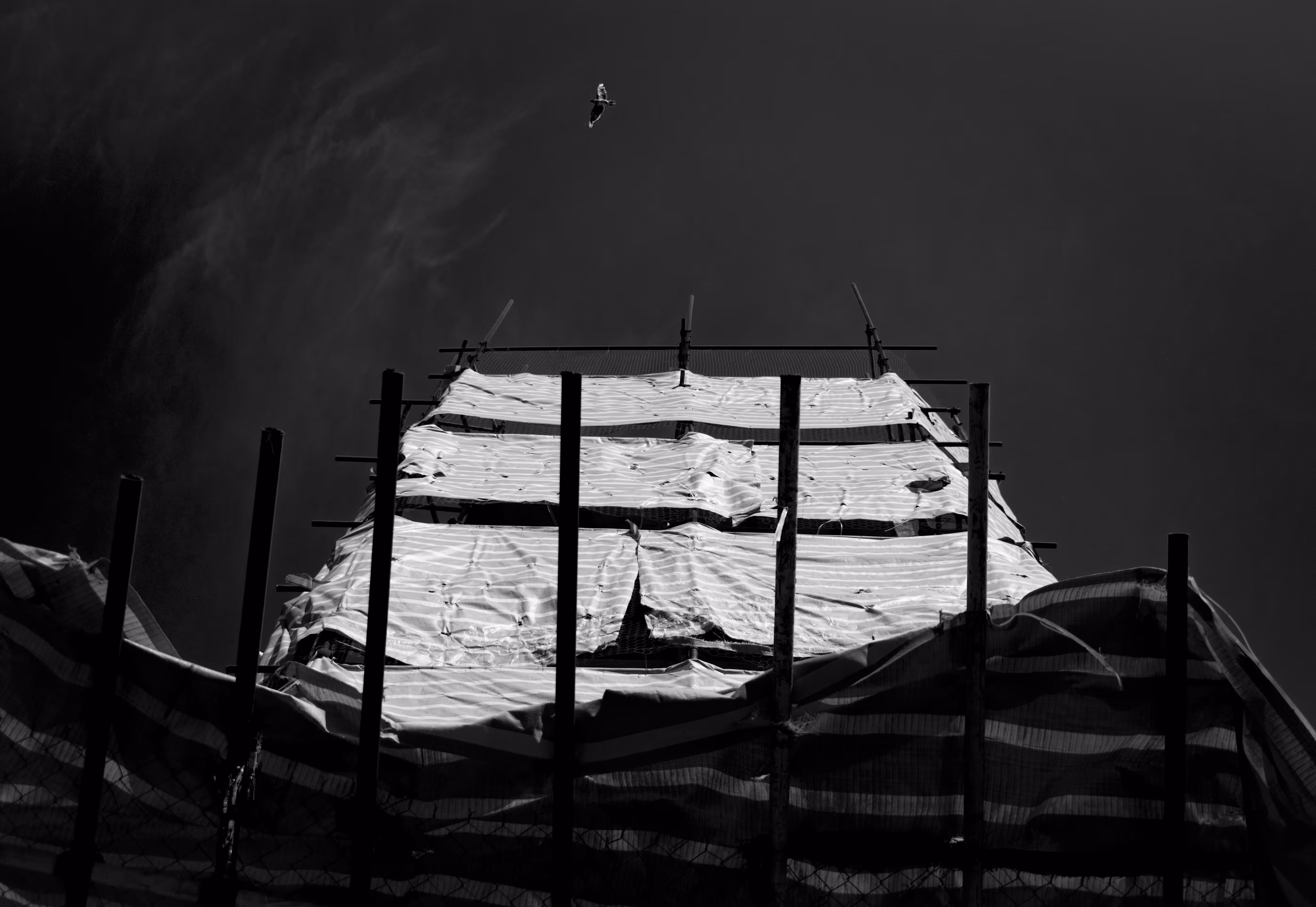 To The Dark