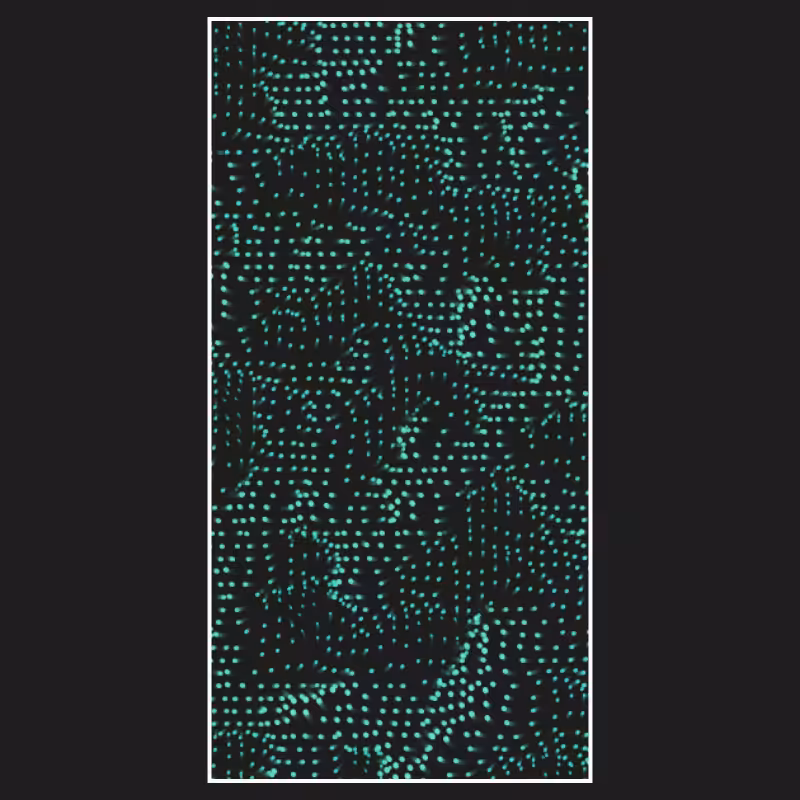 "String" Theory #5