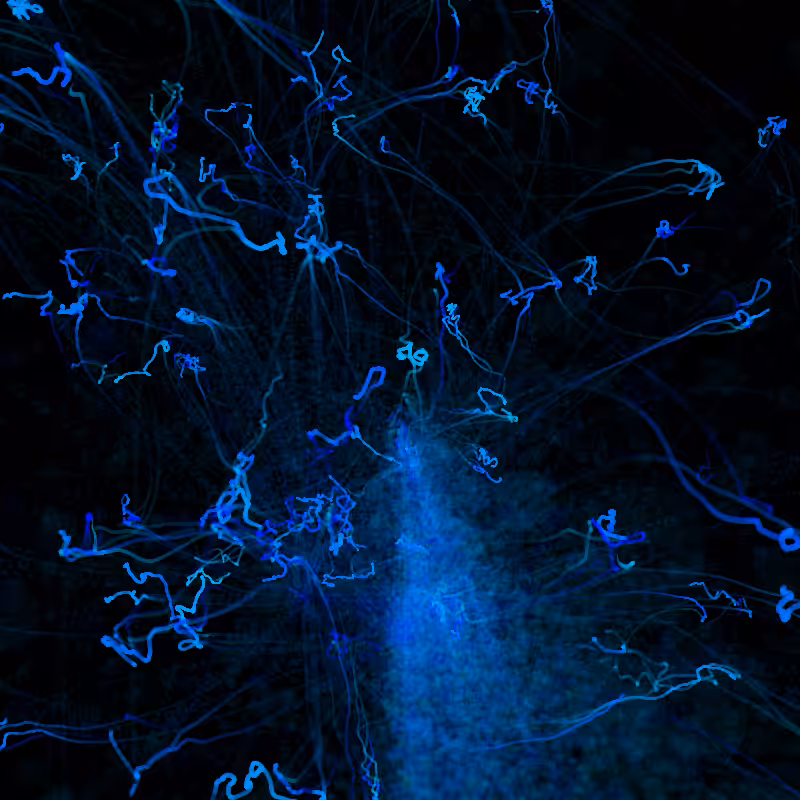 aura #156